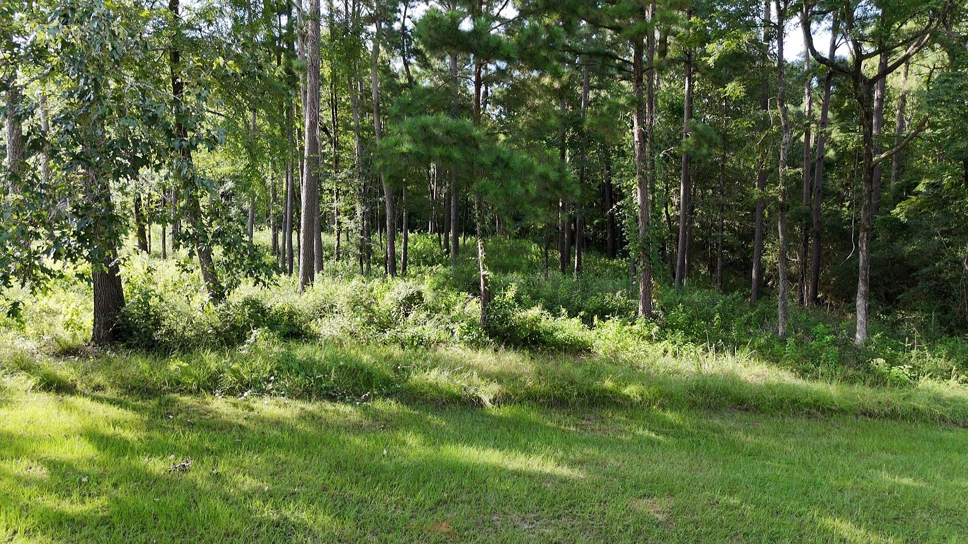 035 Naples Way Property Photo 13
