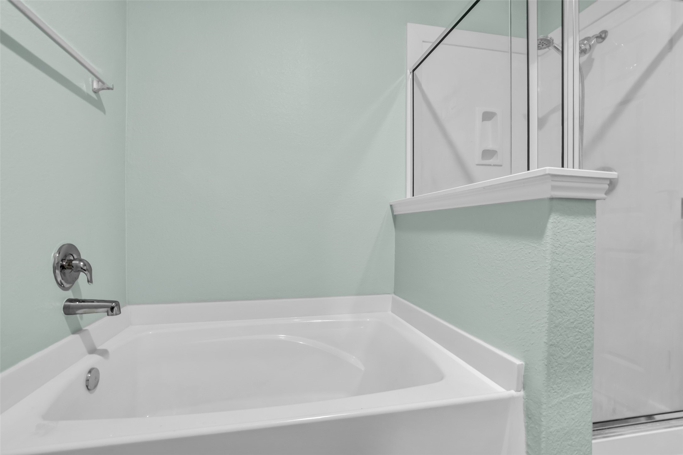25703 Bottlebrush Sedge Street Property Photo 19