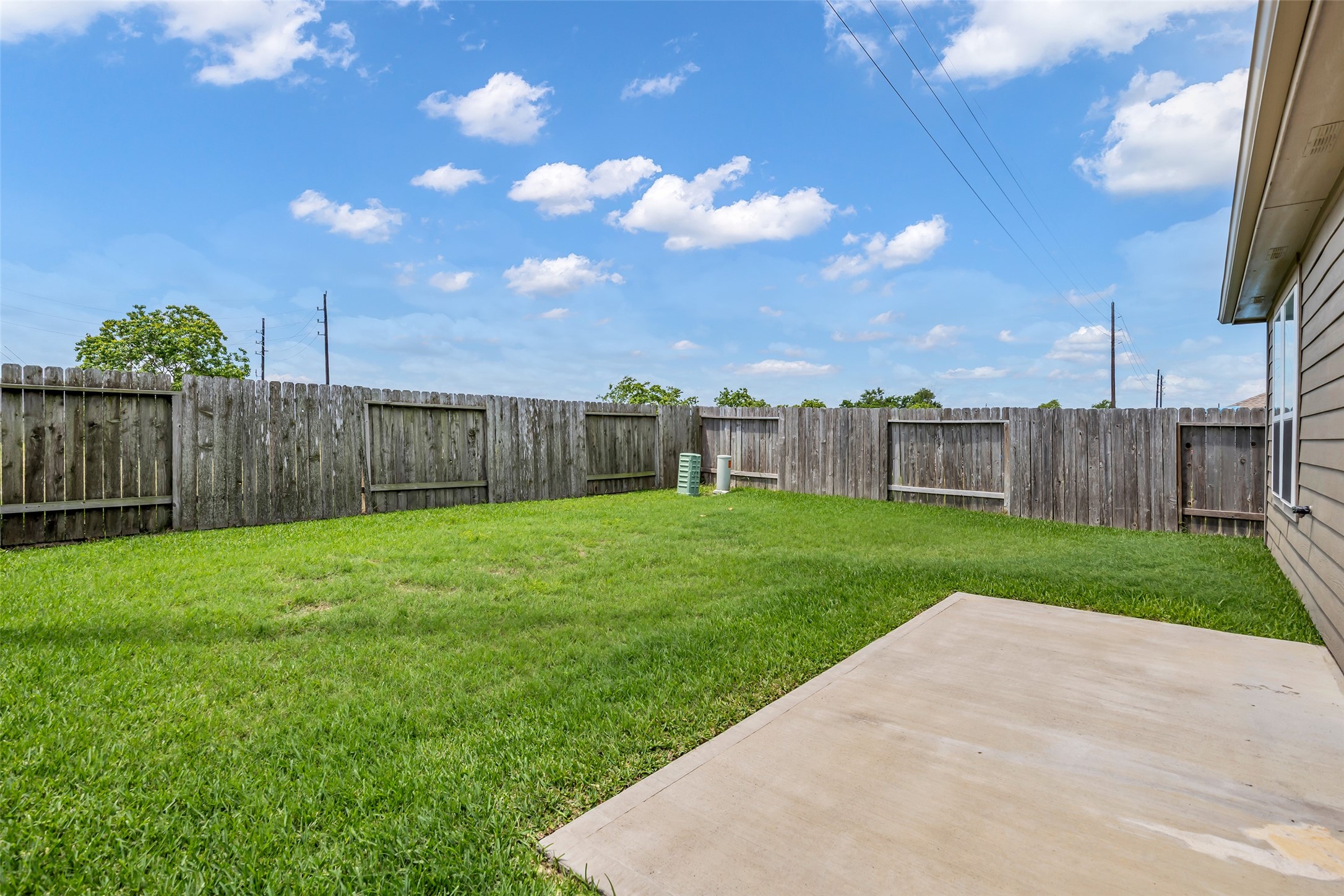 25703 Bottlebrush Sedge Street Property Photo 23