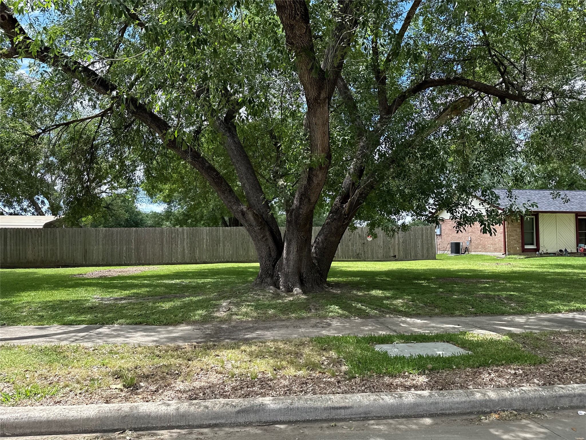 4908 Ripple Creek Drive Property Photo 5