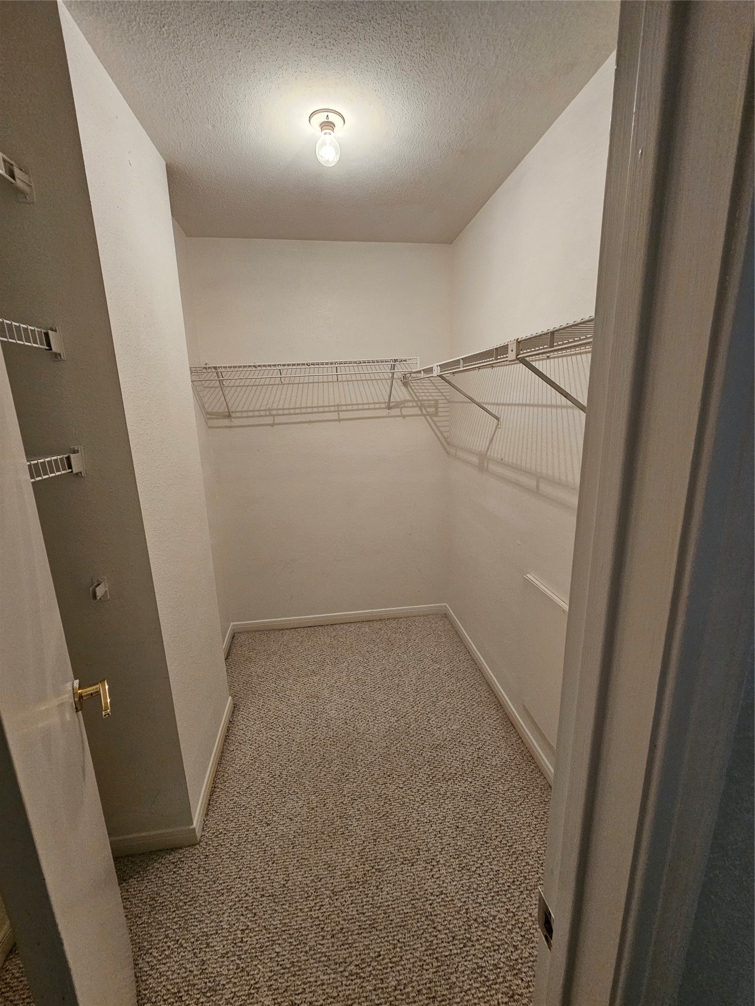 9800 Pagewood Lane 2404 Property Photo 7