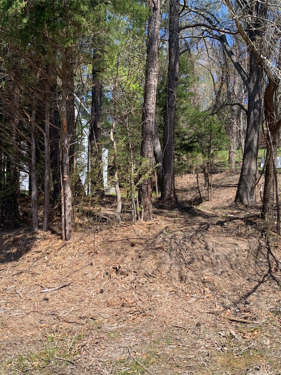 Tbd Cedar Lane Property Photo 2