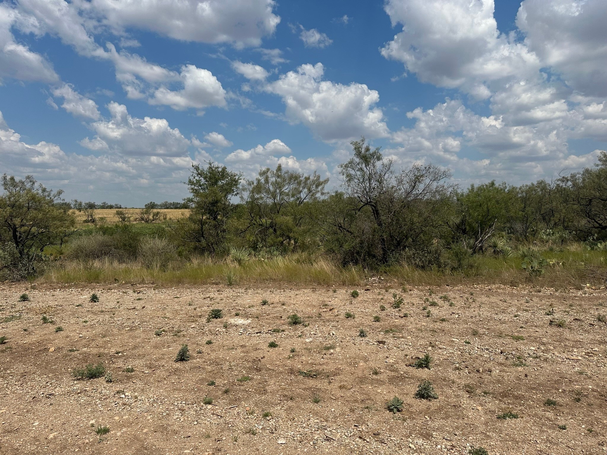 3255 Cr 340 Property Photo 14