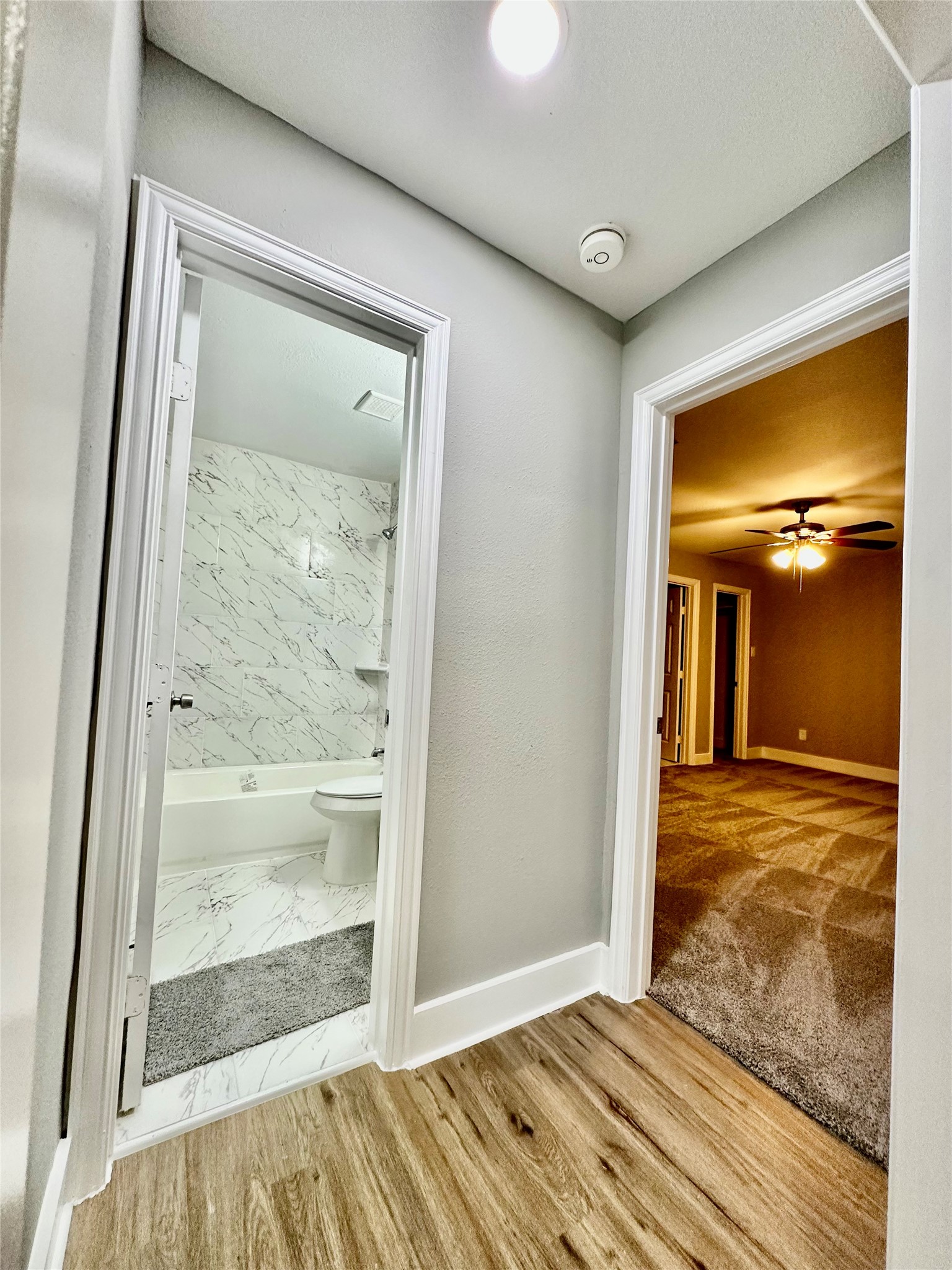 10210 Ashville Drive Property Photo 12