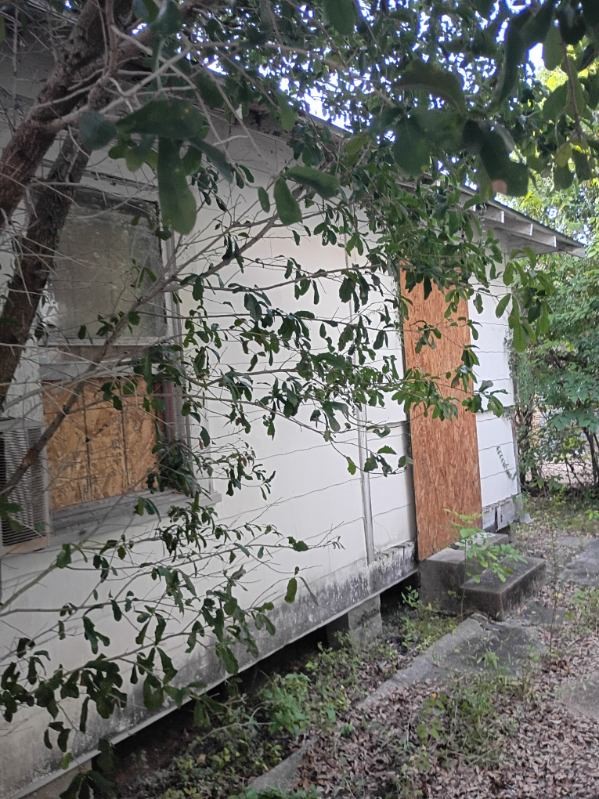 3415 Live Oak St Property Photo 8