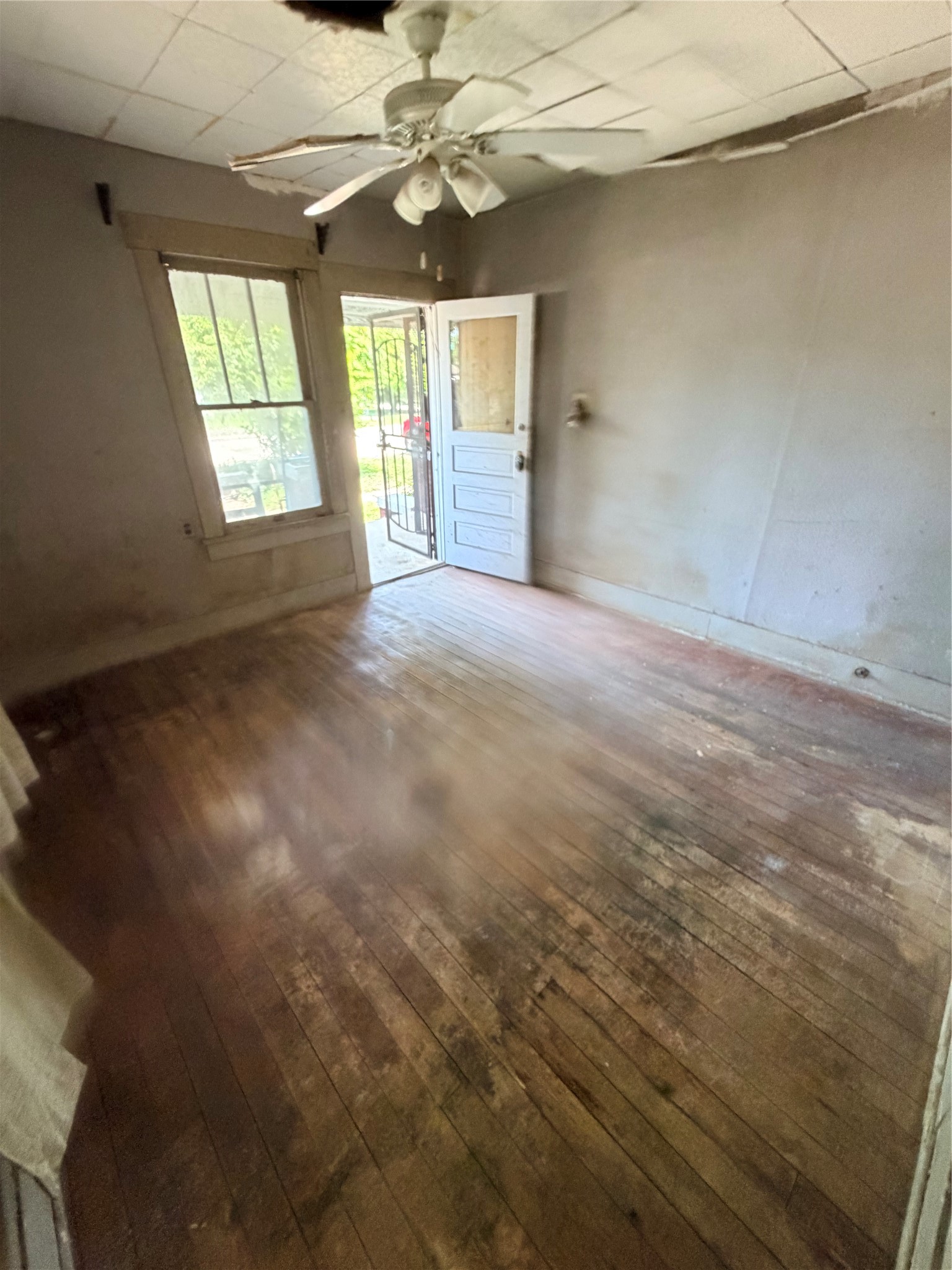 3415 Live Oak St Property Photo 12