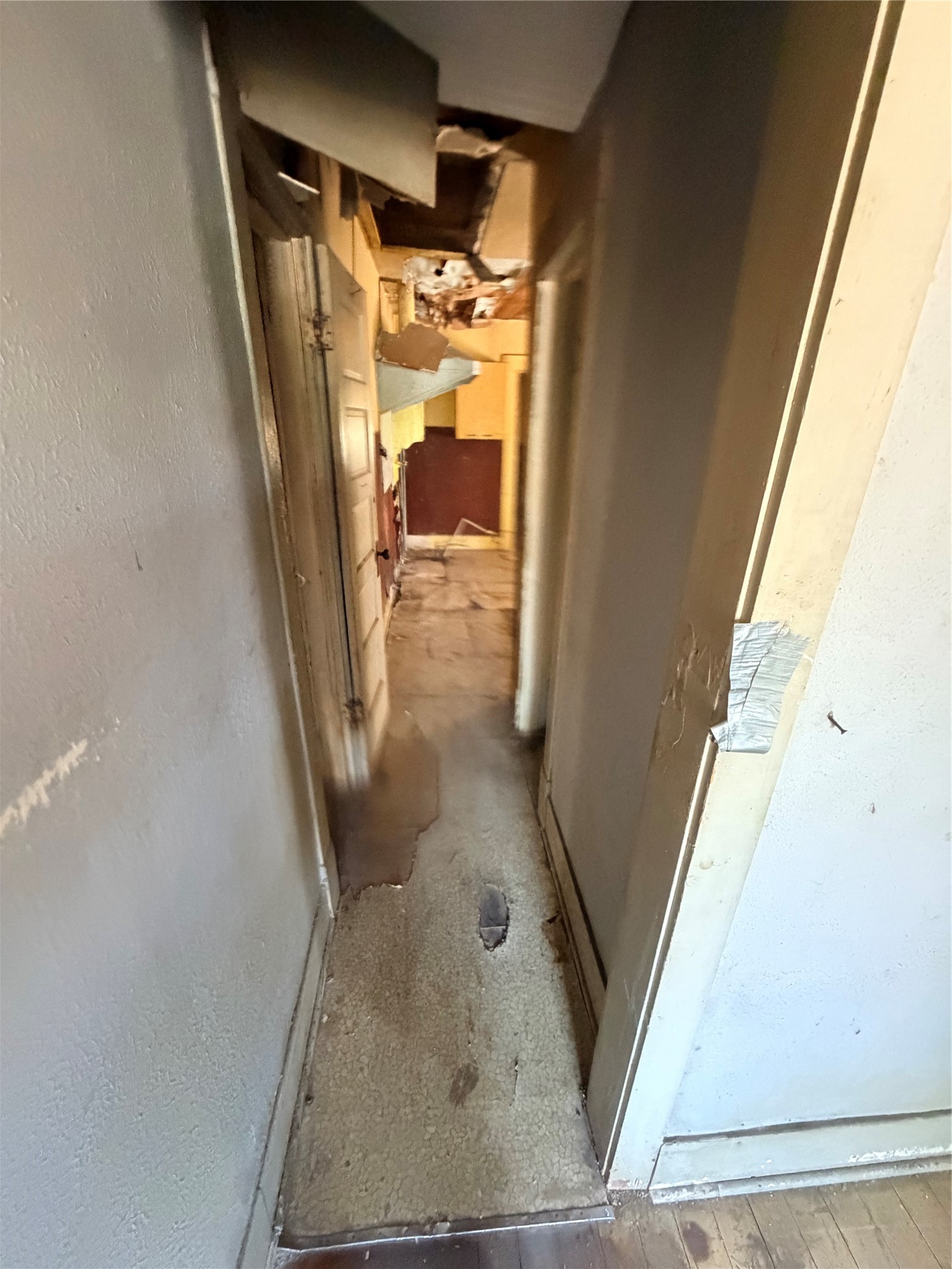 3415 Live Oak St Property Photo 13