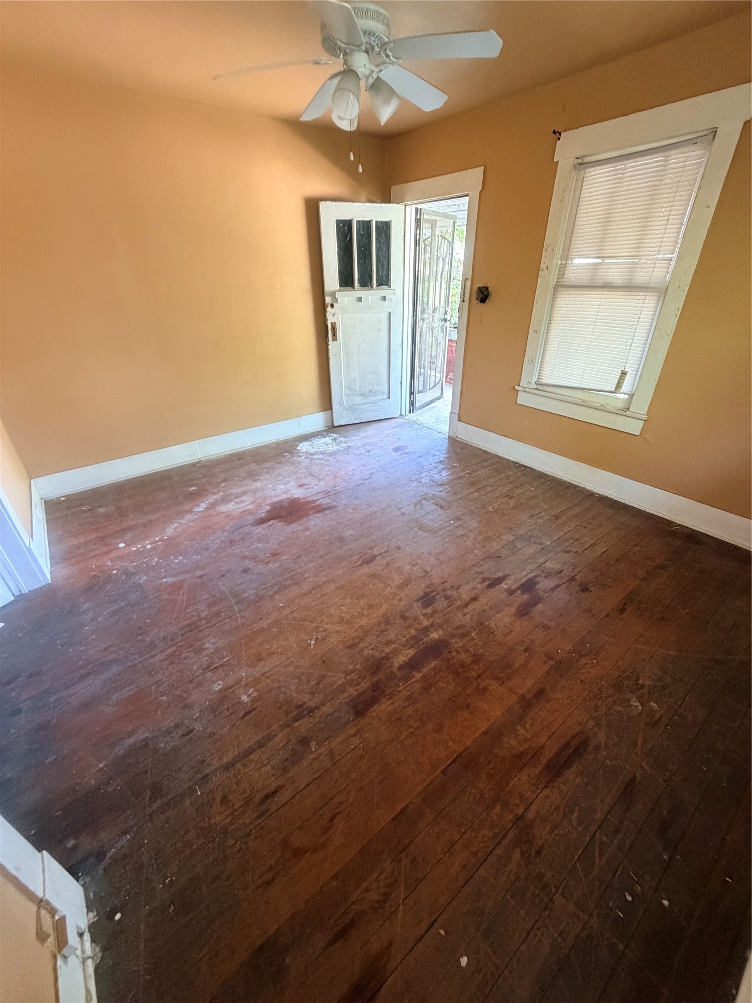 3415 Live Oak St Property Photo 19
