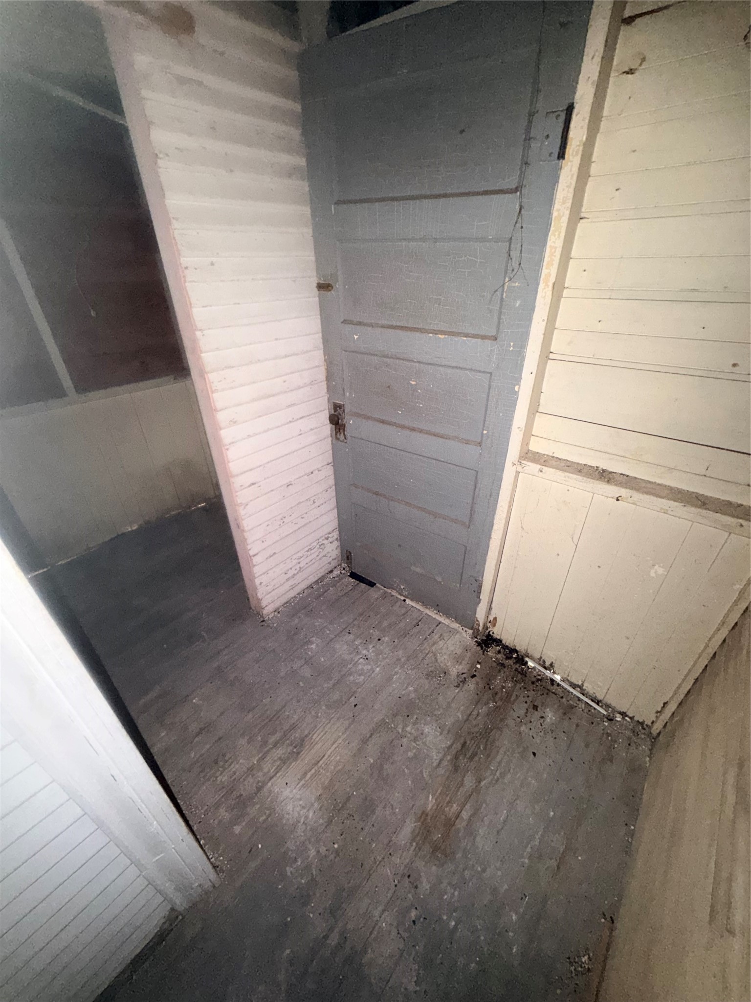 3415 Live Oak St Property Photo 23