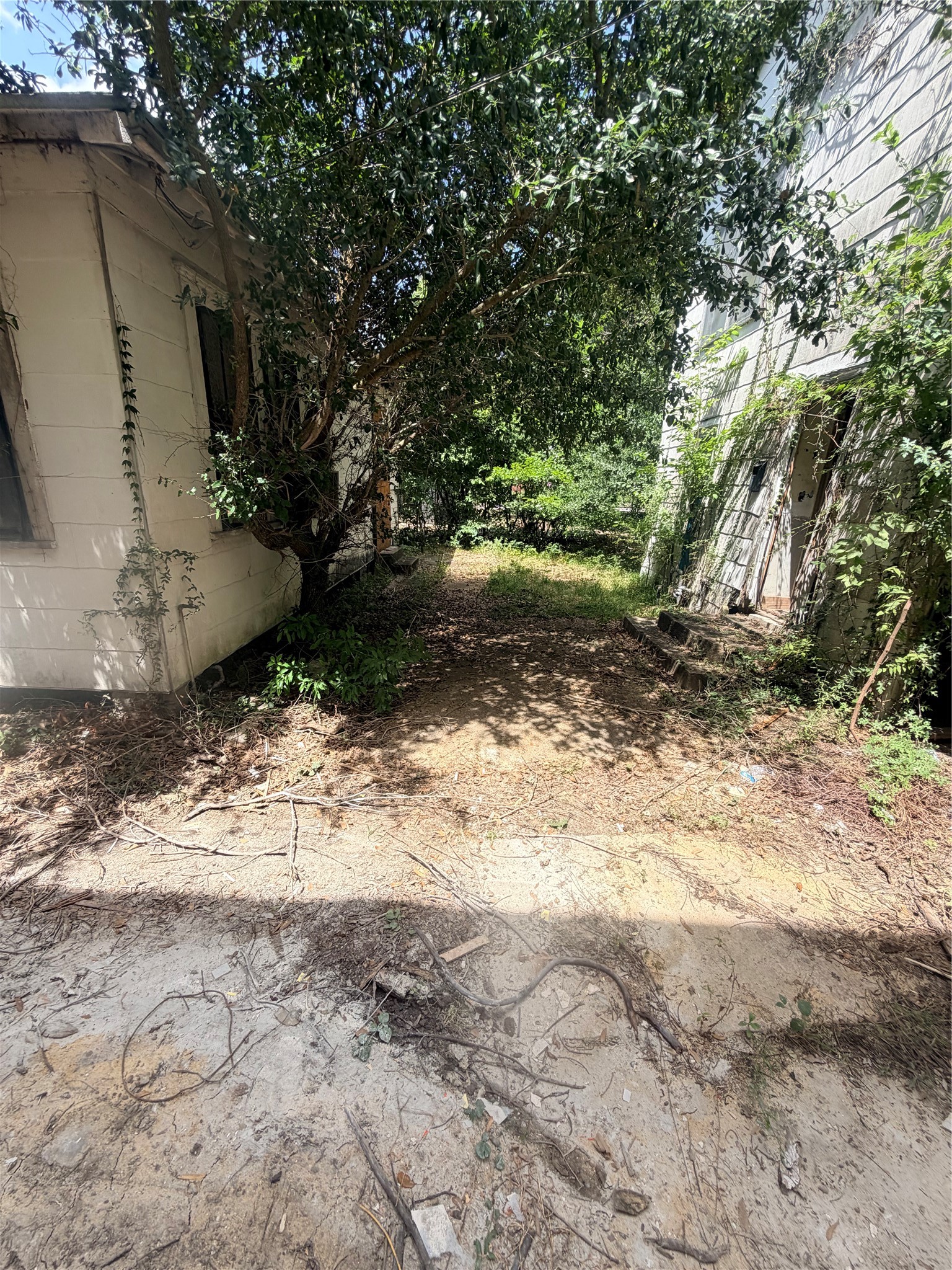 3415 Live Oak St Property Photo 26