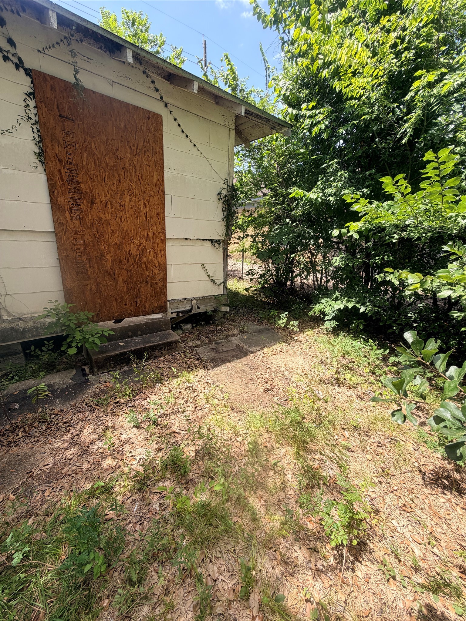 3415 Live Oak St Property Photo 27