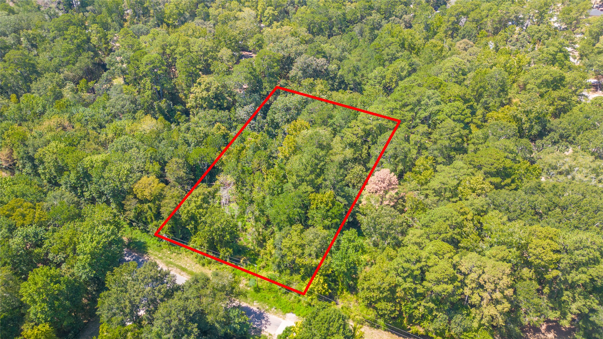 Tbd Royal Creek Road Property Photo 3