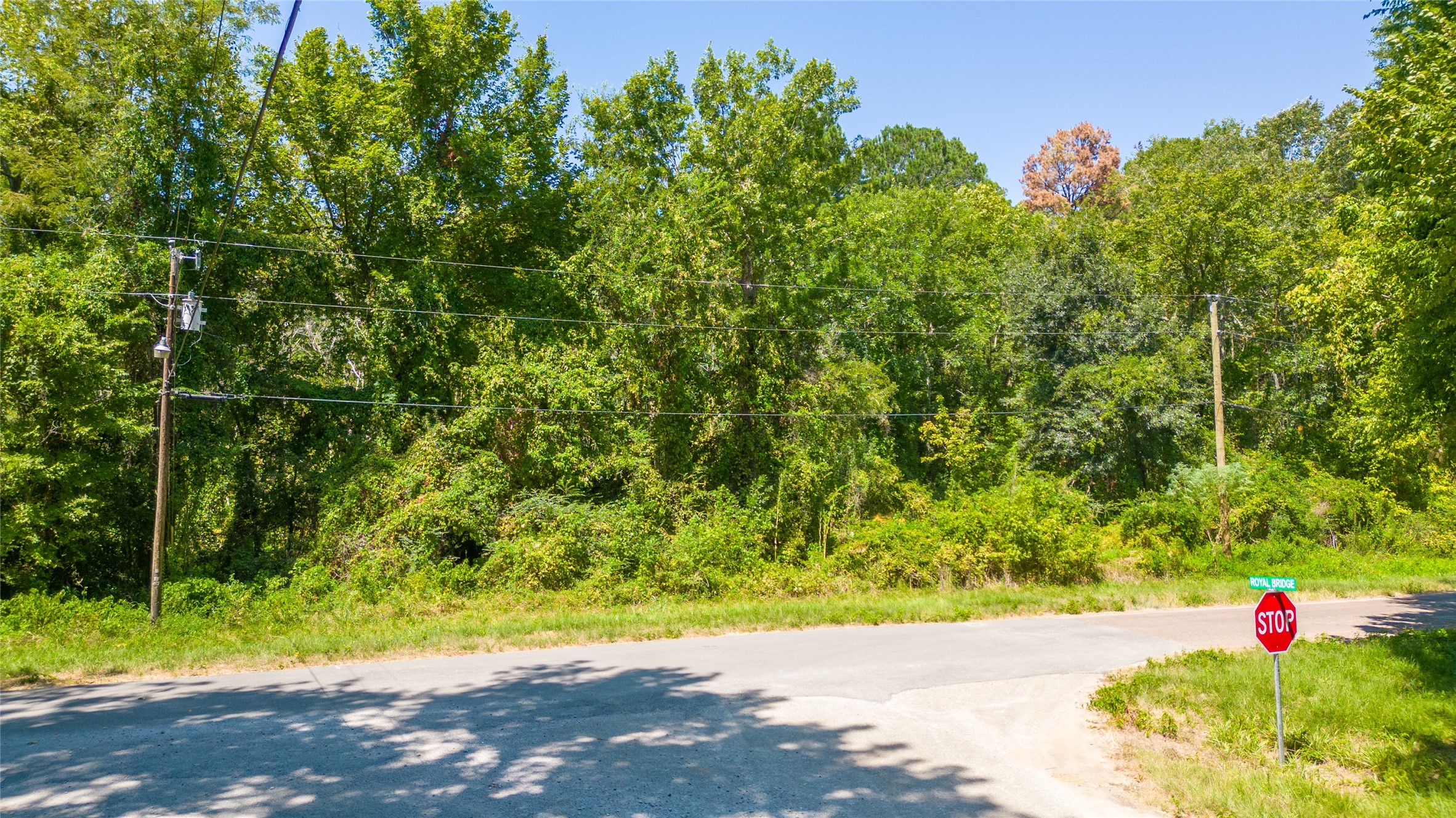 Tbd Royal Creek Road Property Photo 4