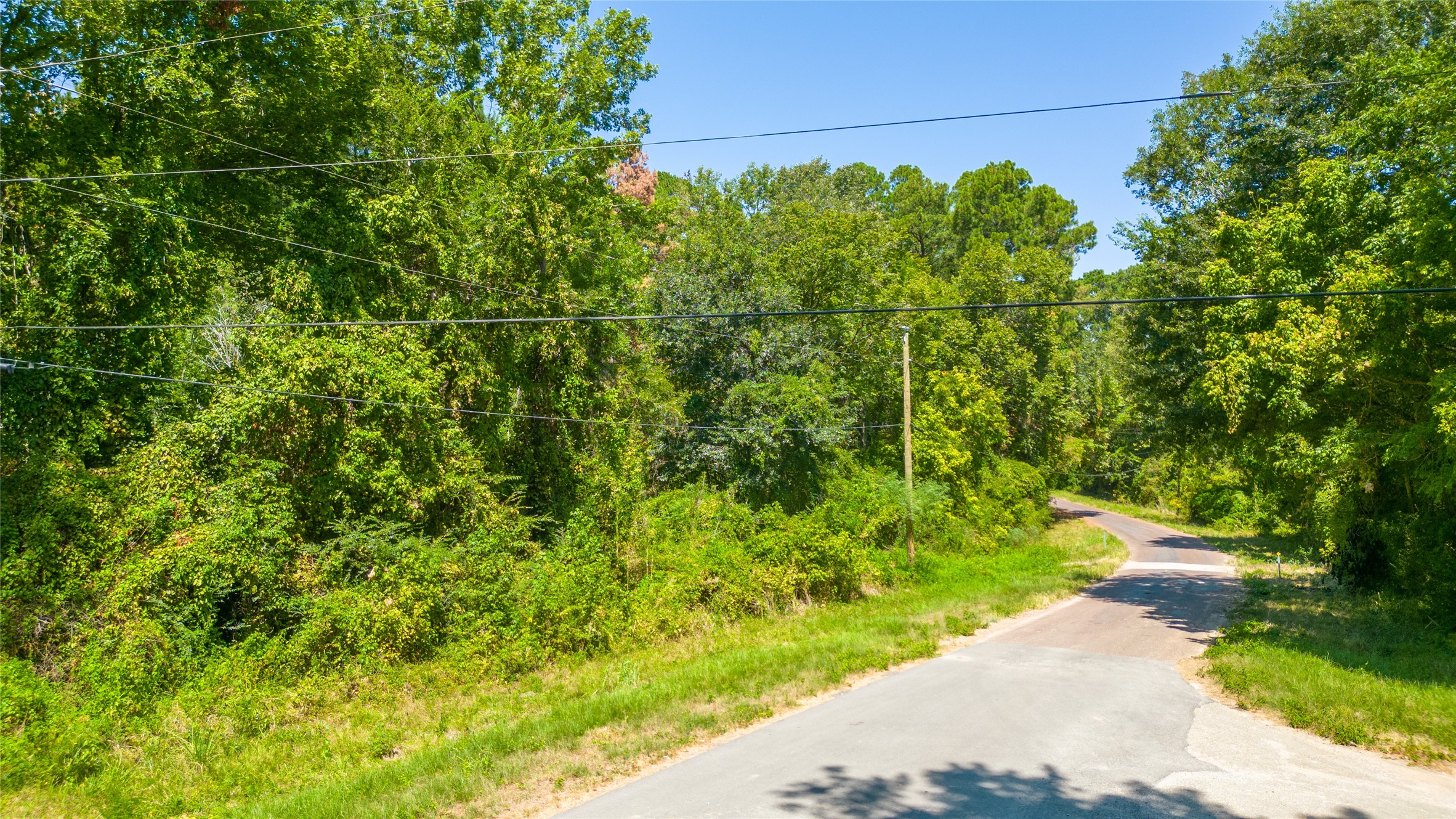 Tbd Royal Creek Road Property Photo 5
