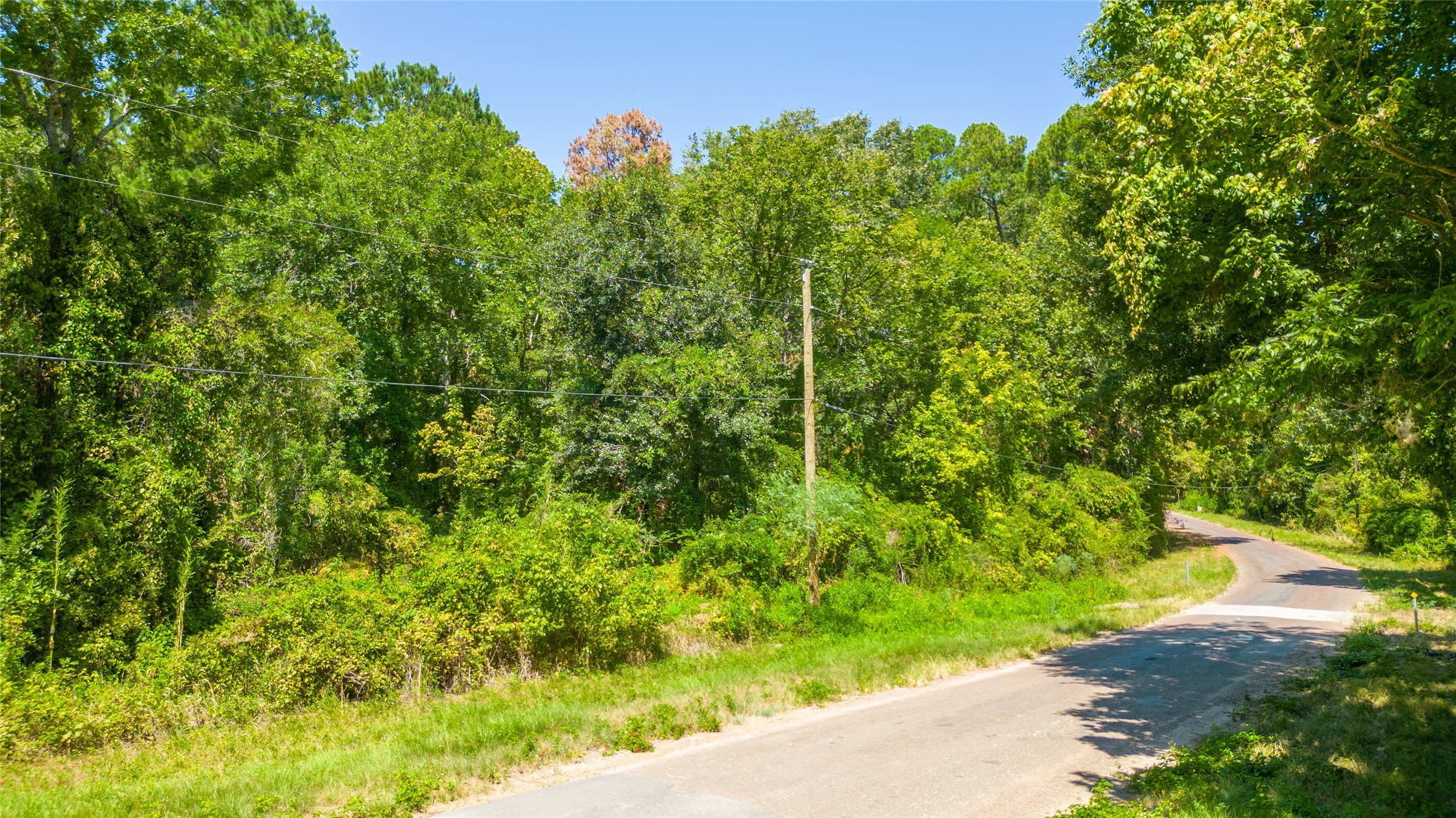 Tbd Royal Creek Road Property Photo 6