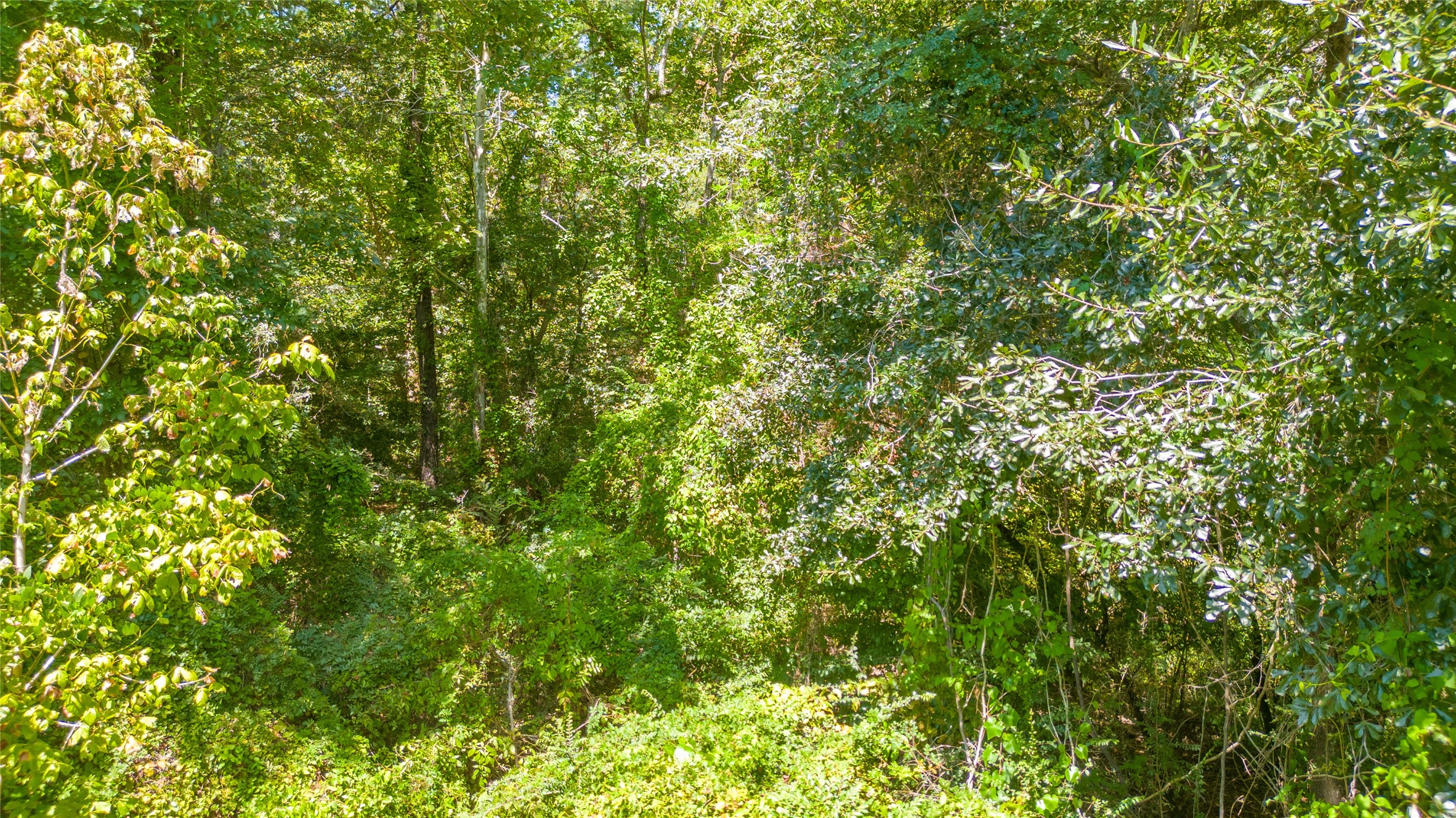 Tbd Royal Creek Road Property Photo 7