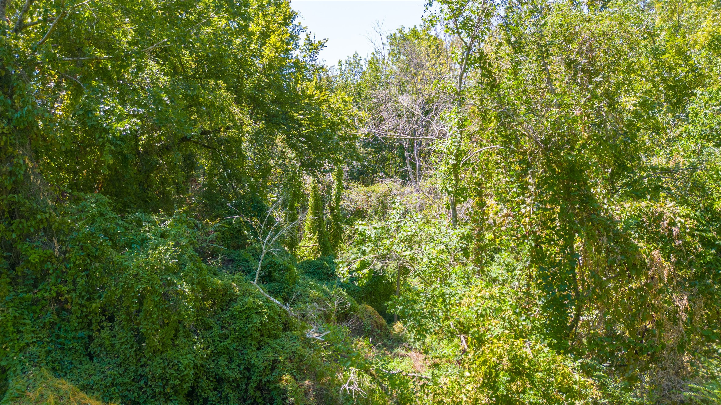 Tbd Royal Creek Road Property Photo 8