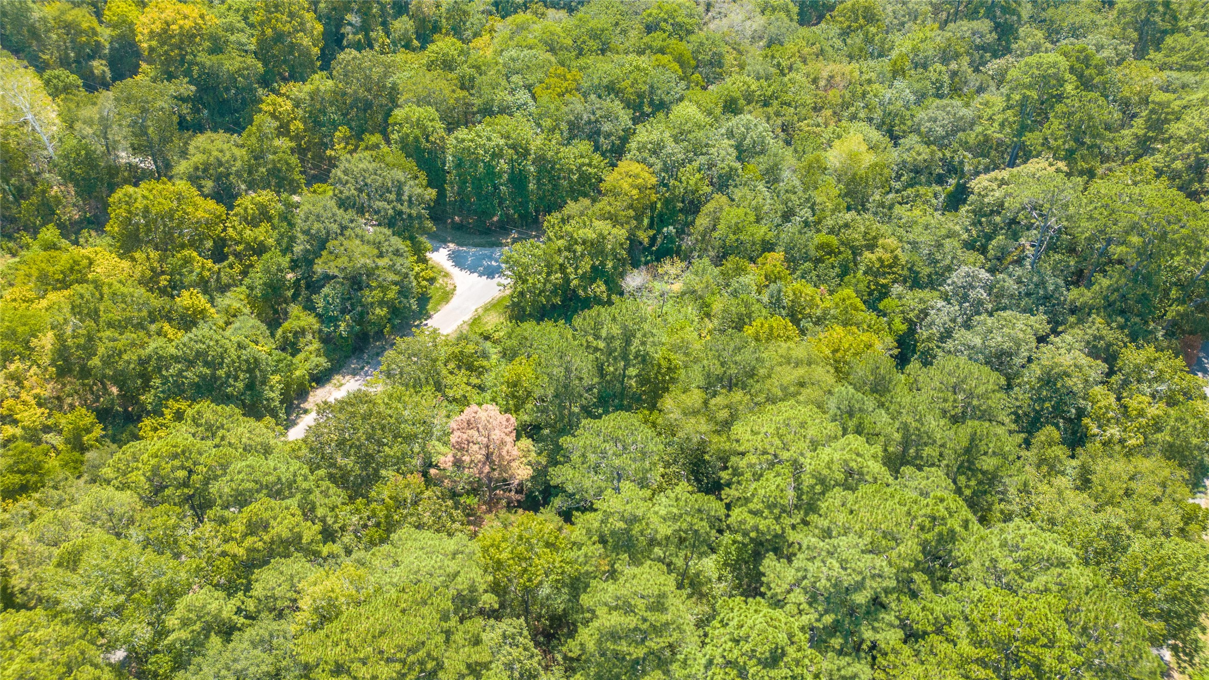 Tbd Royal Creek Road Property Photo 9