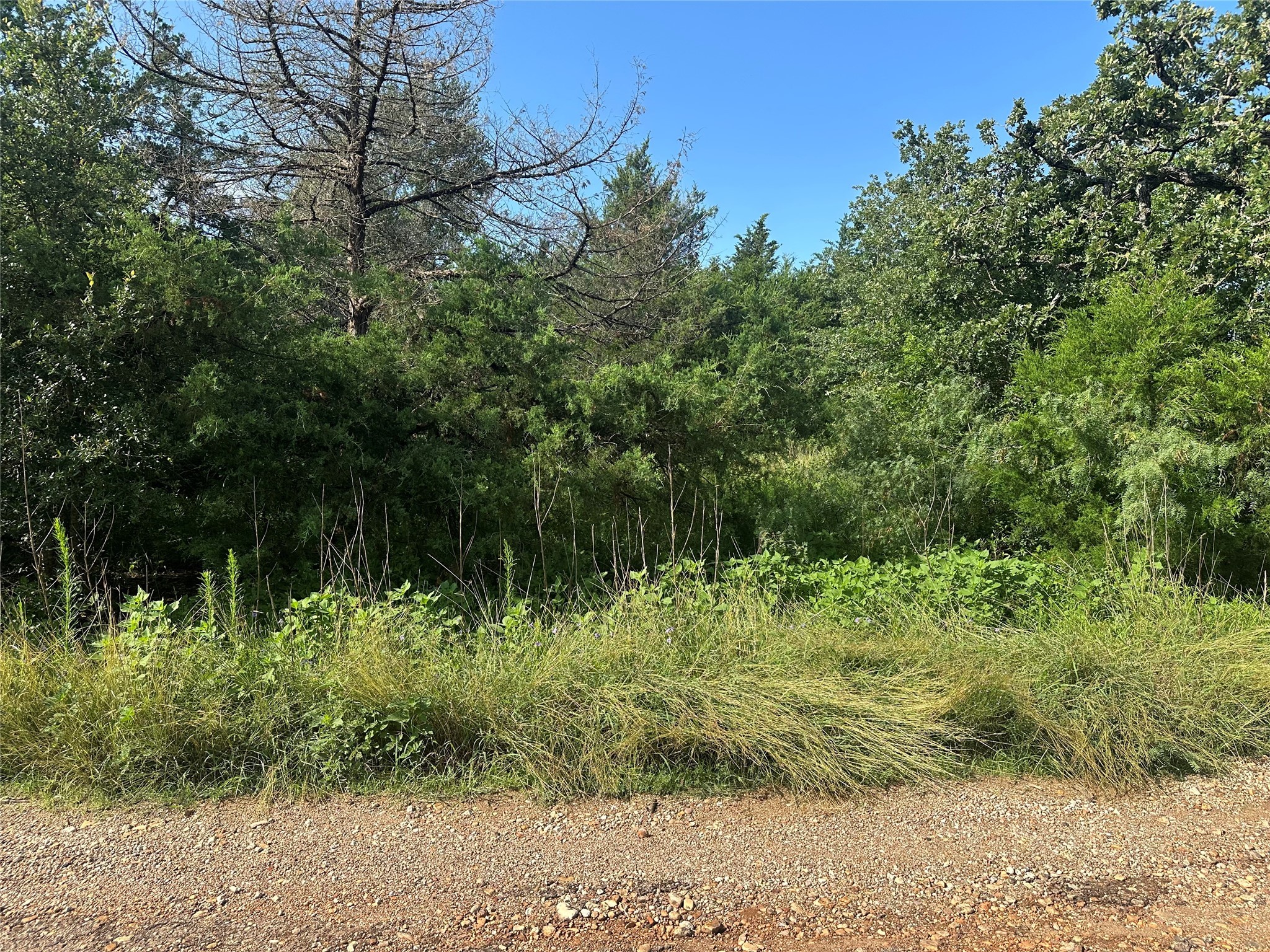 600 Blueberry Hill Road Property Photo 2