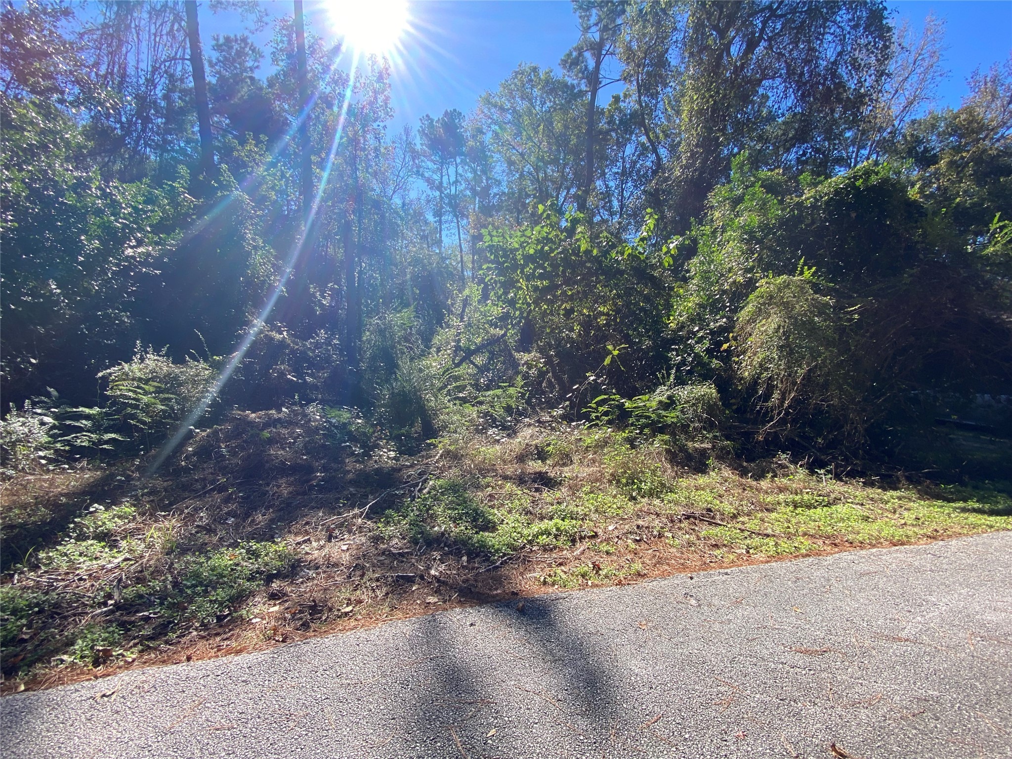 2229 Easley Circle Property Photo 2