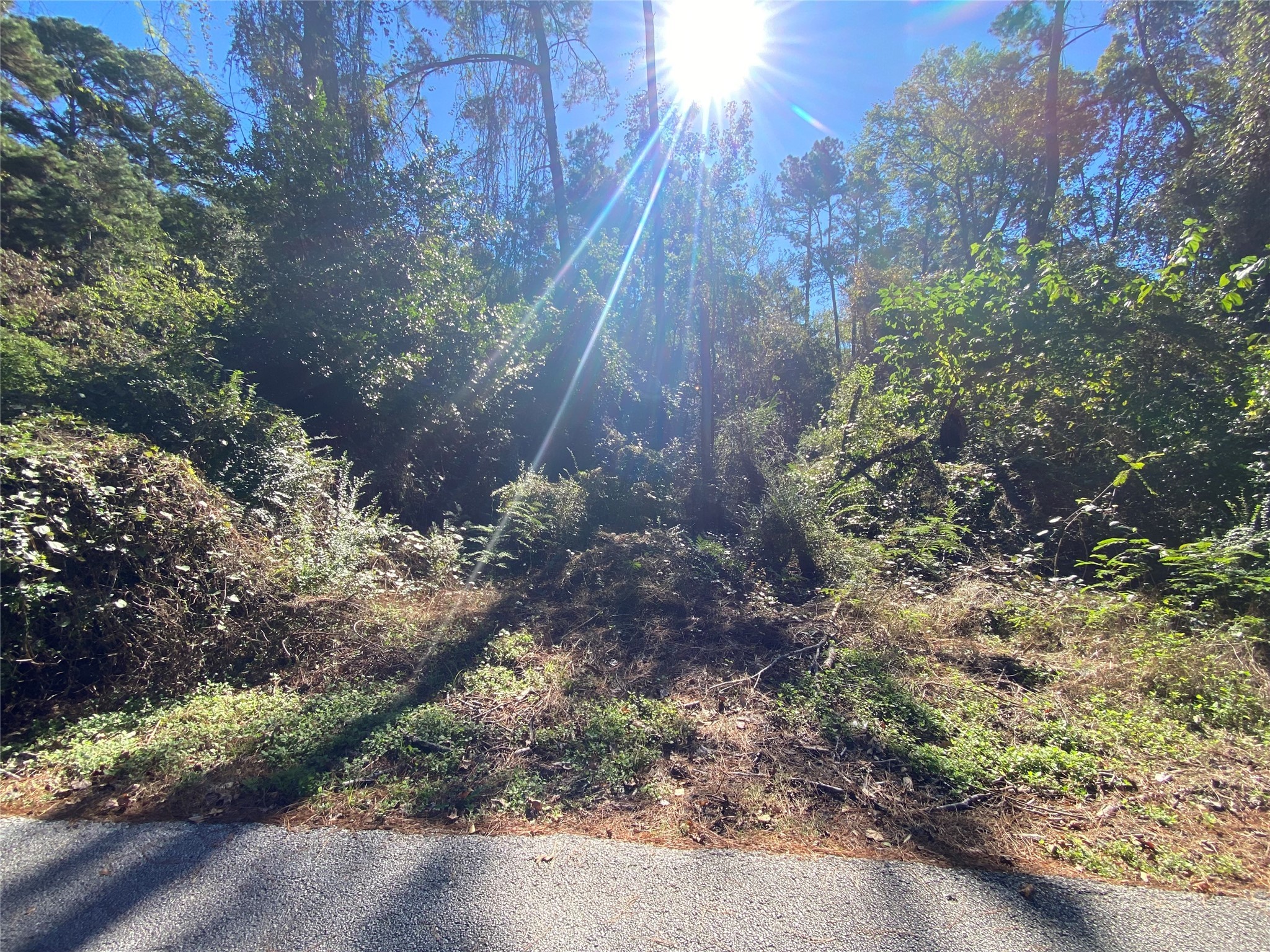 2229 Easley Circle Property Photo 3