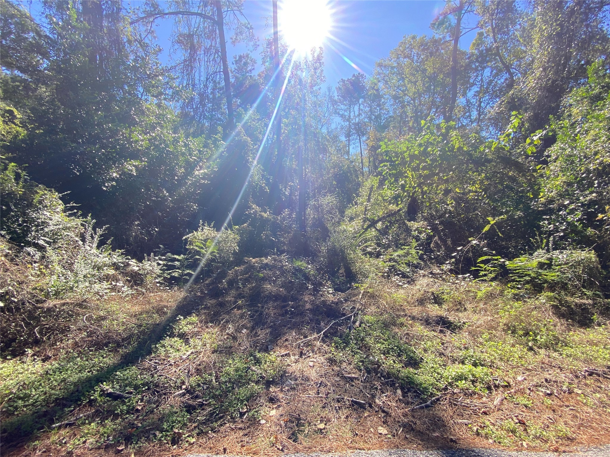 2229 Easley Circle Property Photo 5