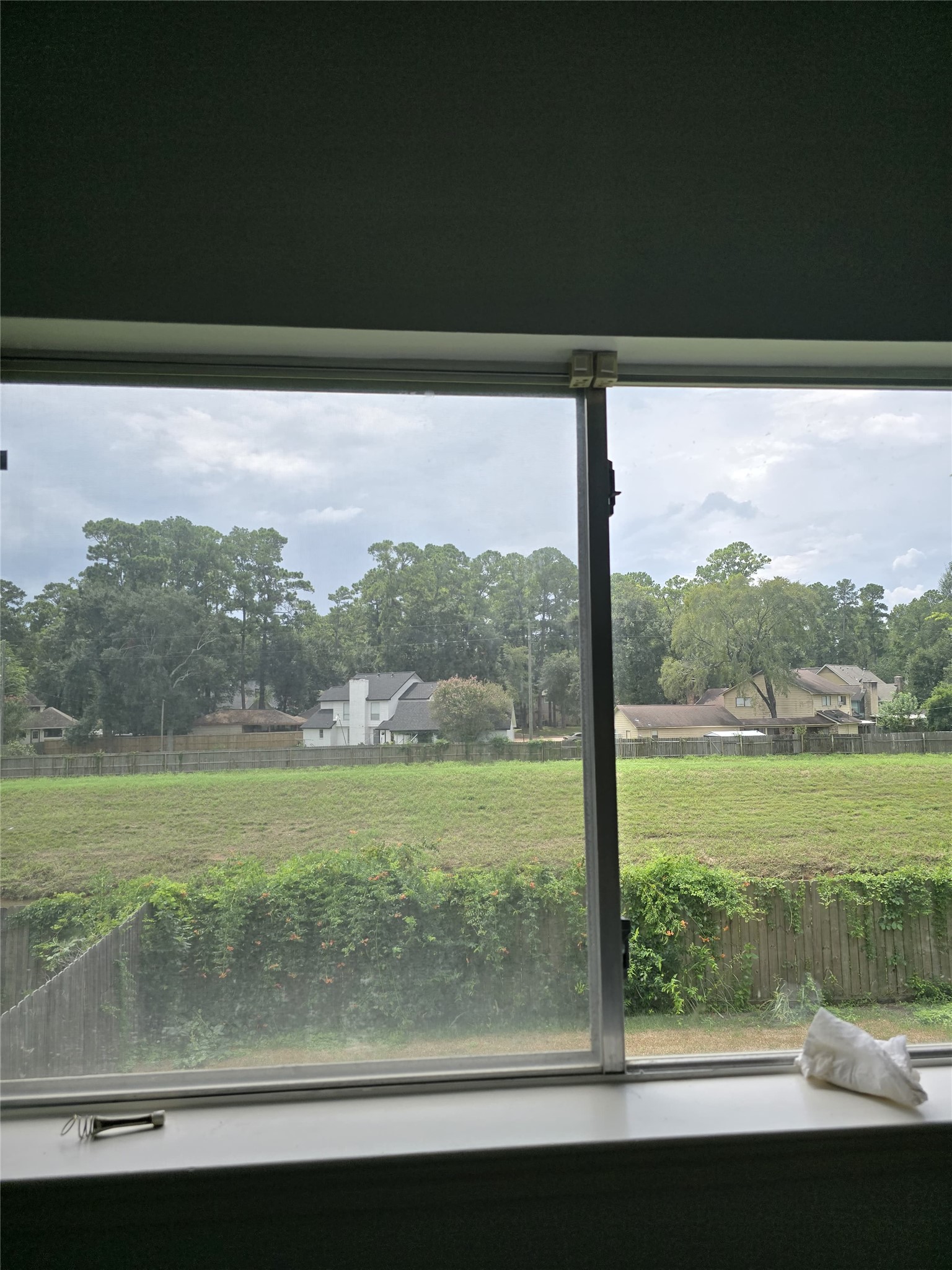 3006 Greenbriar Springs Drive Property Photo 9