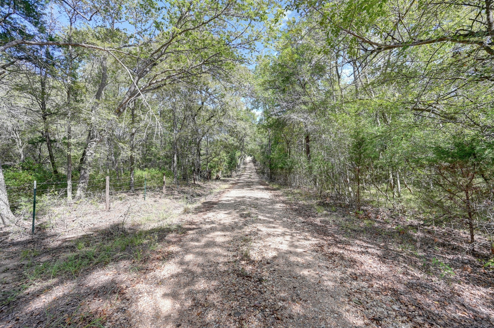 5853 Highway 159 W Property Photo 6