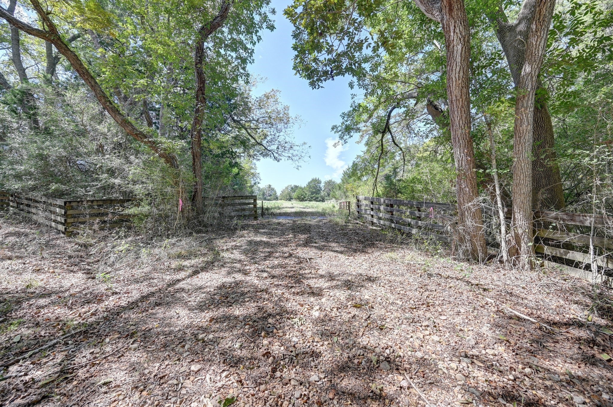 5853 Highway 159 W Property Photo 7