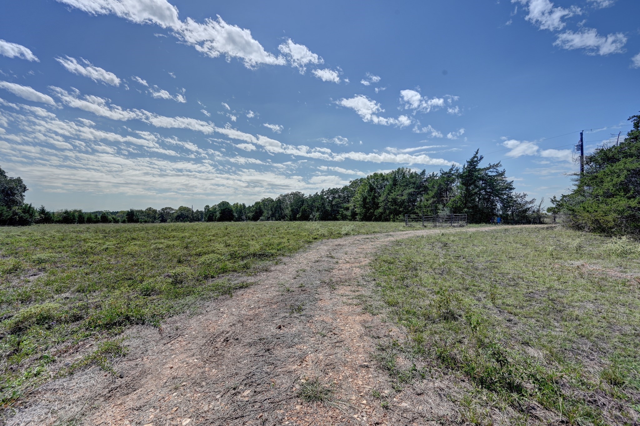 5853 Highway 159 W Property Photo 8