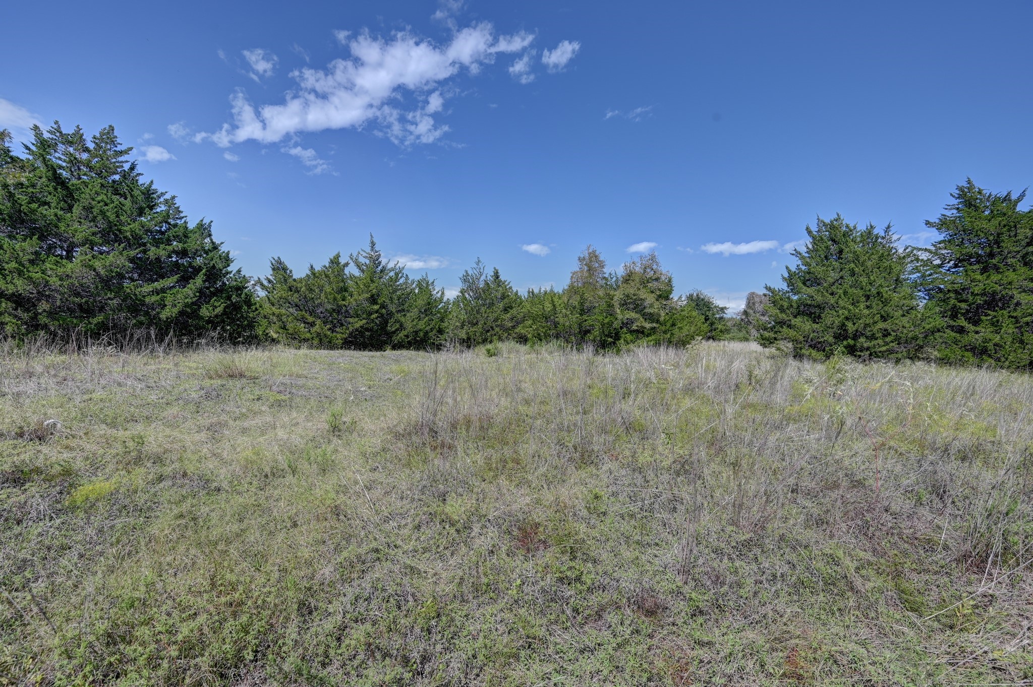 5853 Highway 159 W Property Photo 10