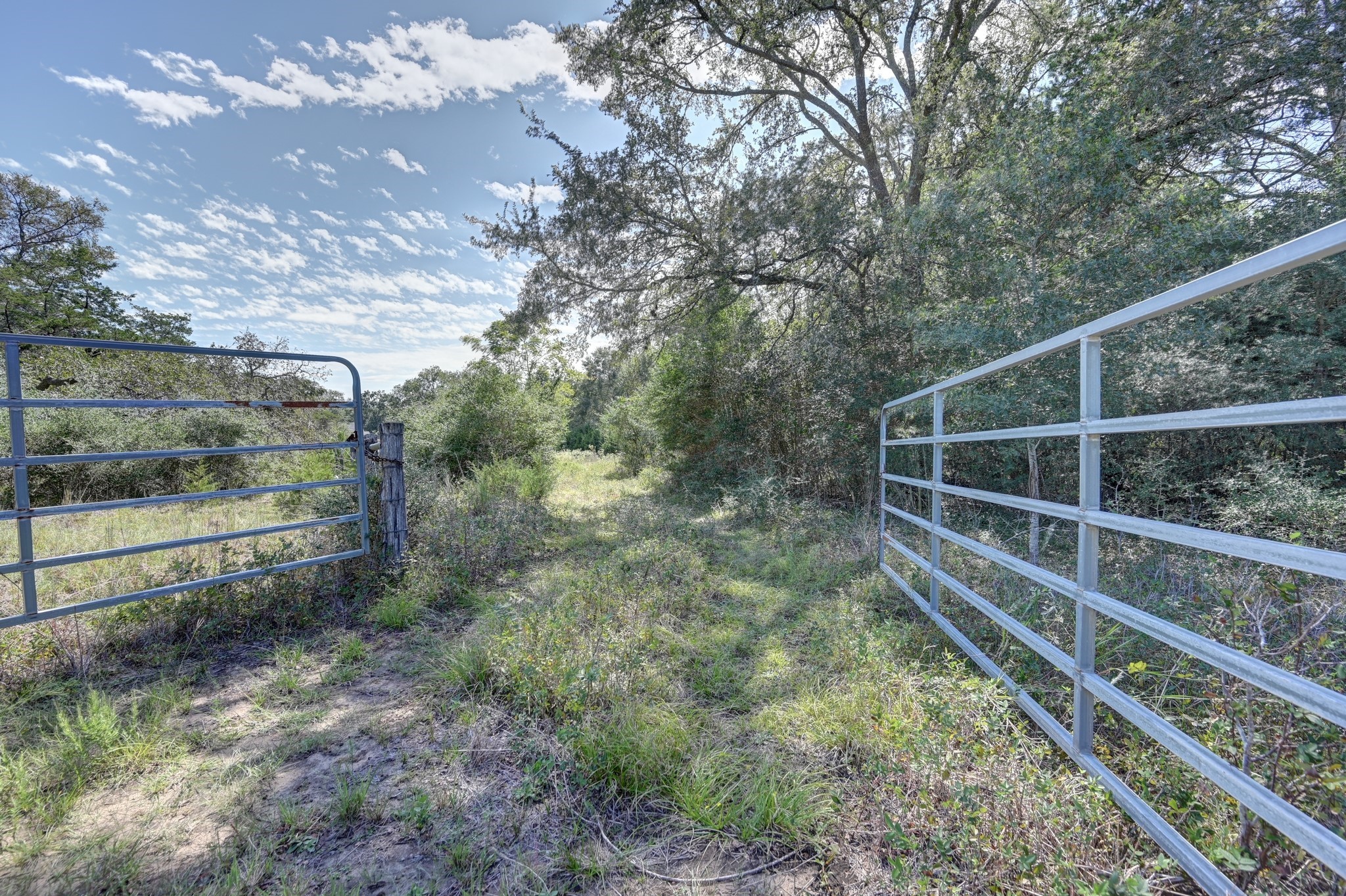 5853 Highway 159 W Property Photo 12