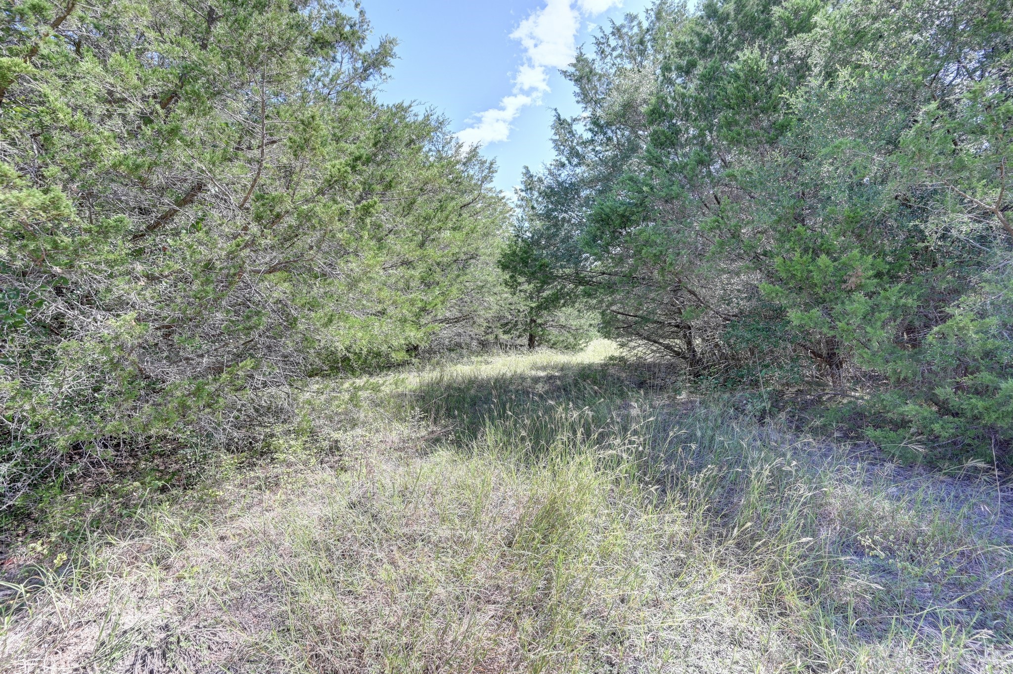 5853 Highway 159 W Property Photo 13