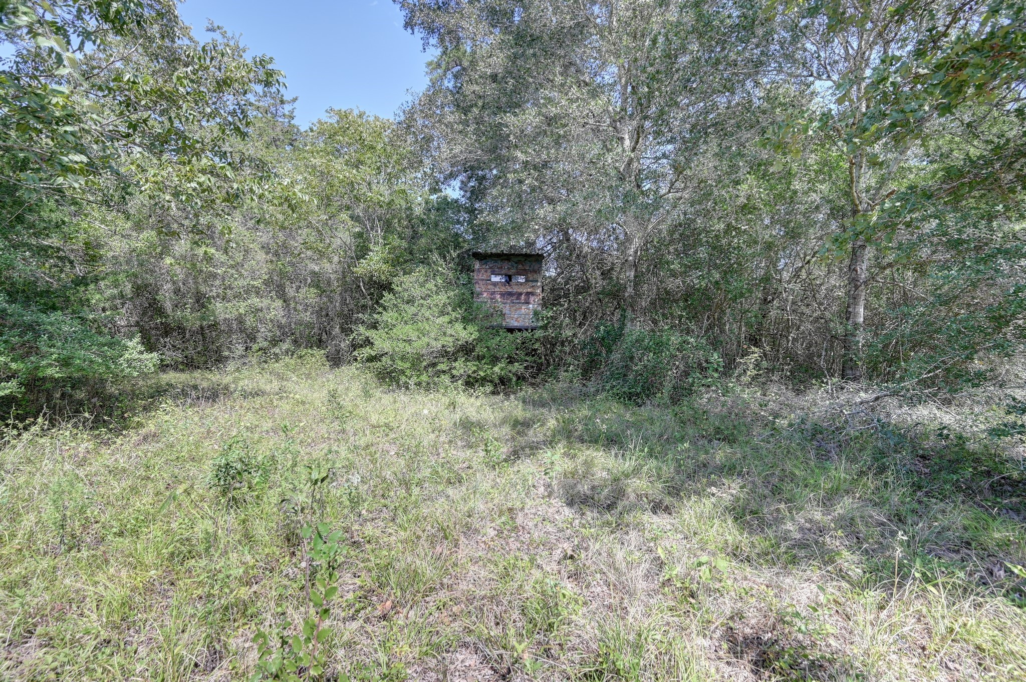 5853 Highway 159 W Property Photo 14
