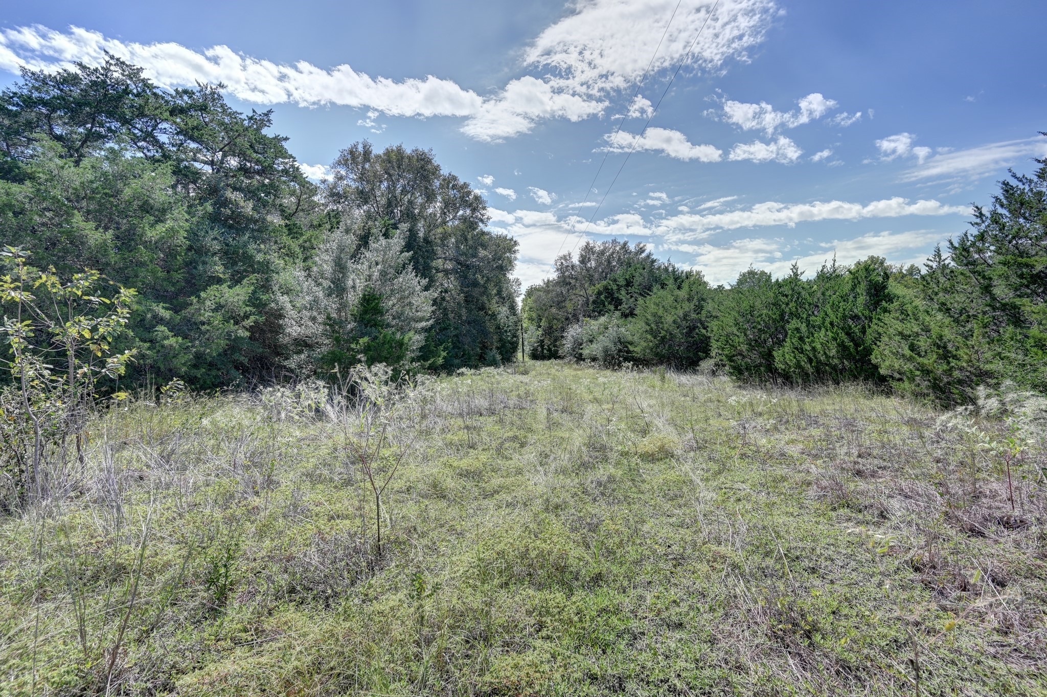 5853 Highway 159 W Property Photo 15