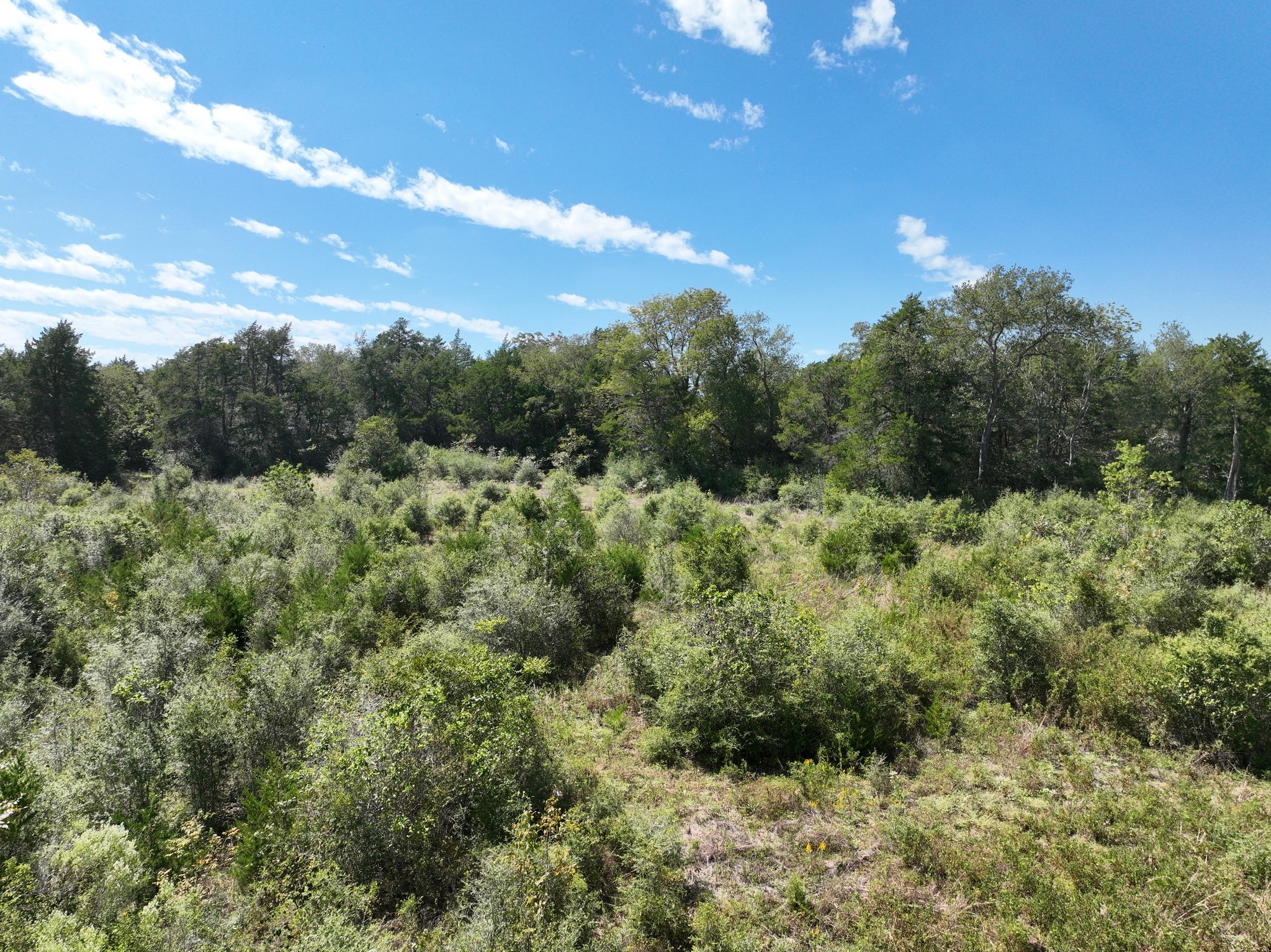 5853 Highway 159 W Property Photo 17