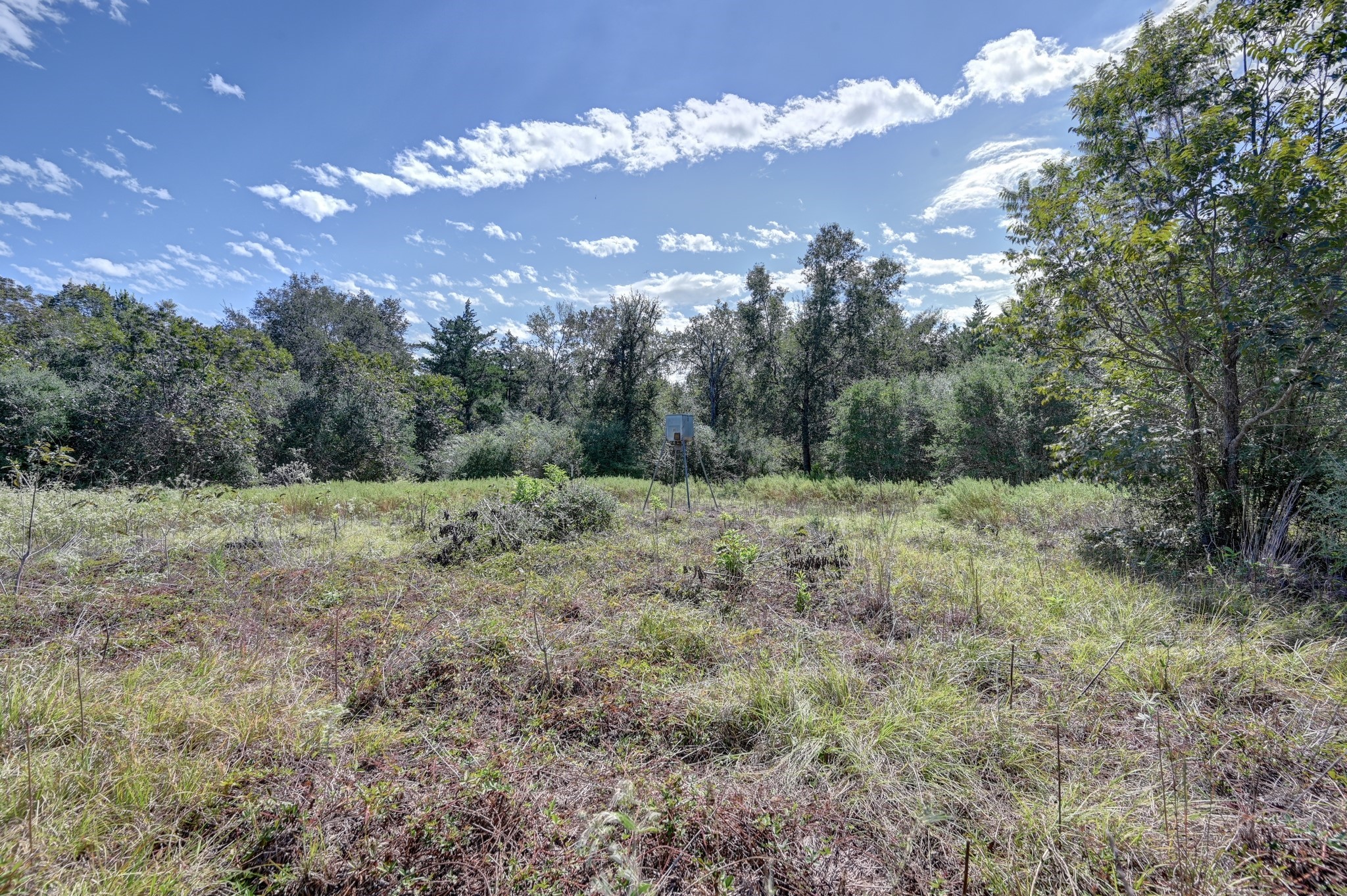 5853 Highway 159 W Property Photo 18