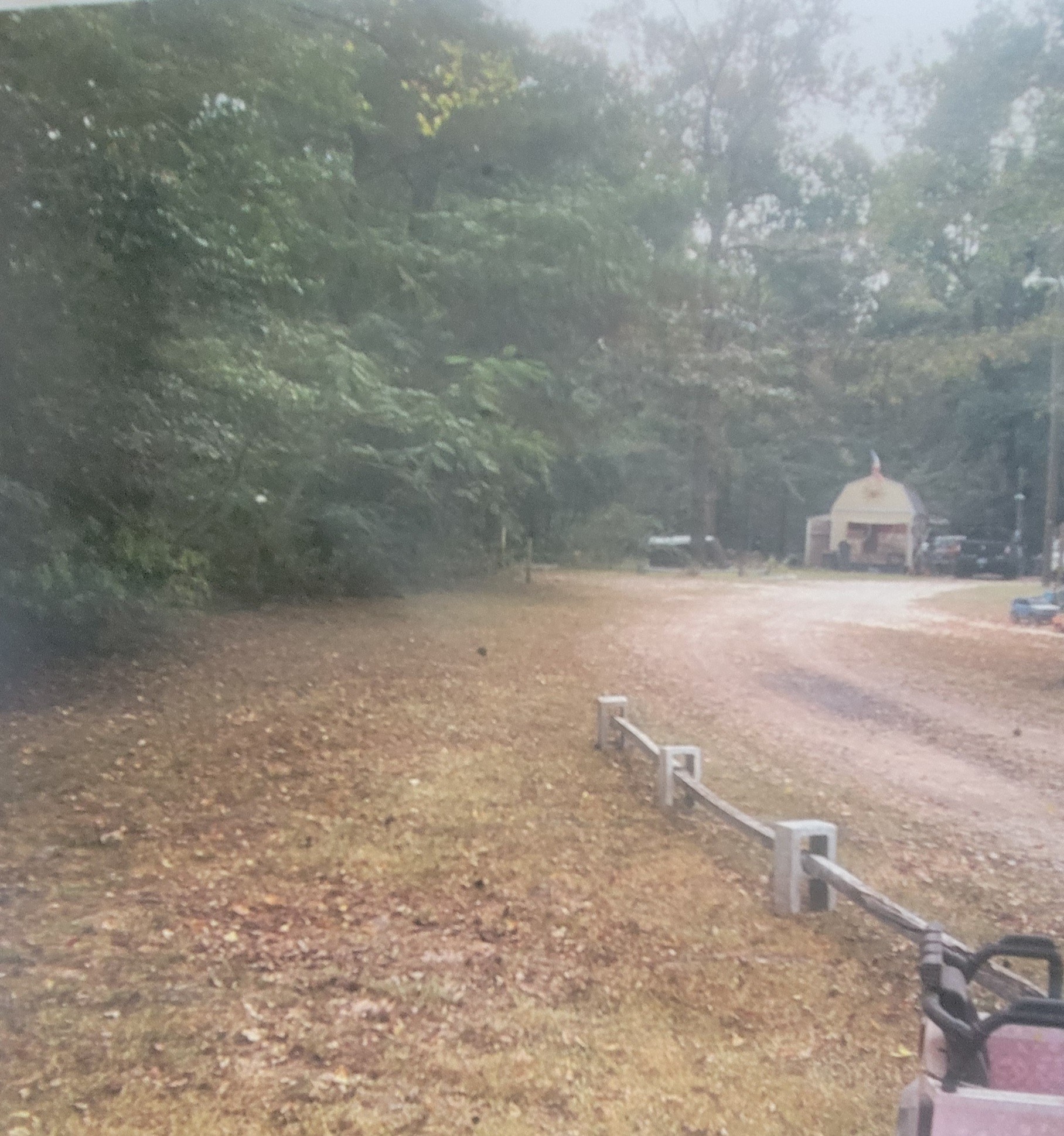 12876 Goodman Road Property Photo 3