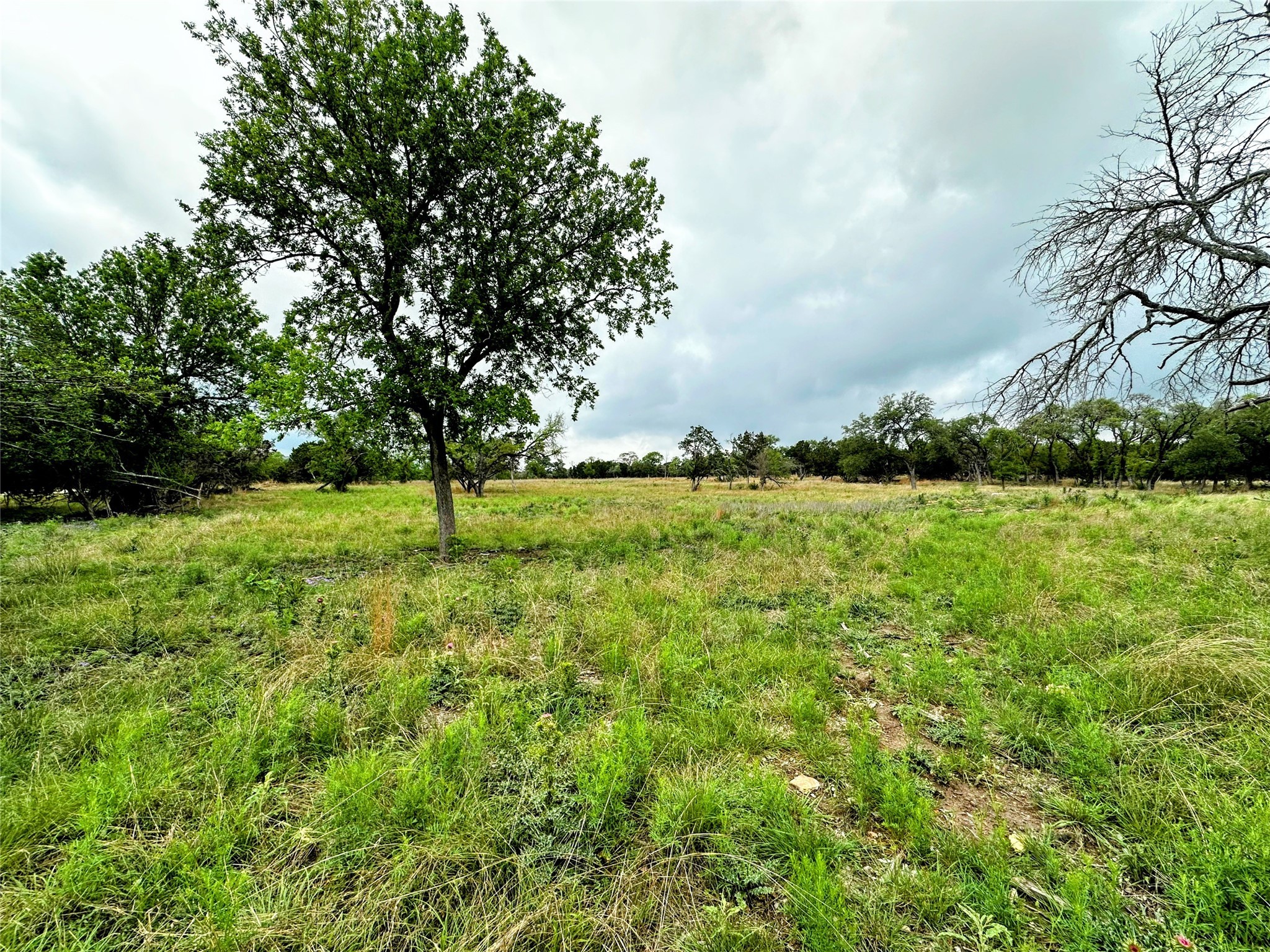305 Witt Road Property Photo