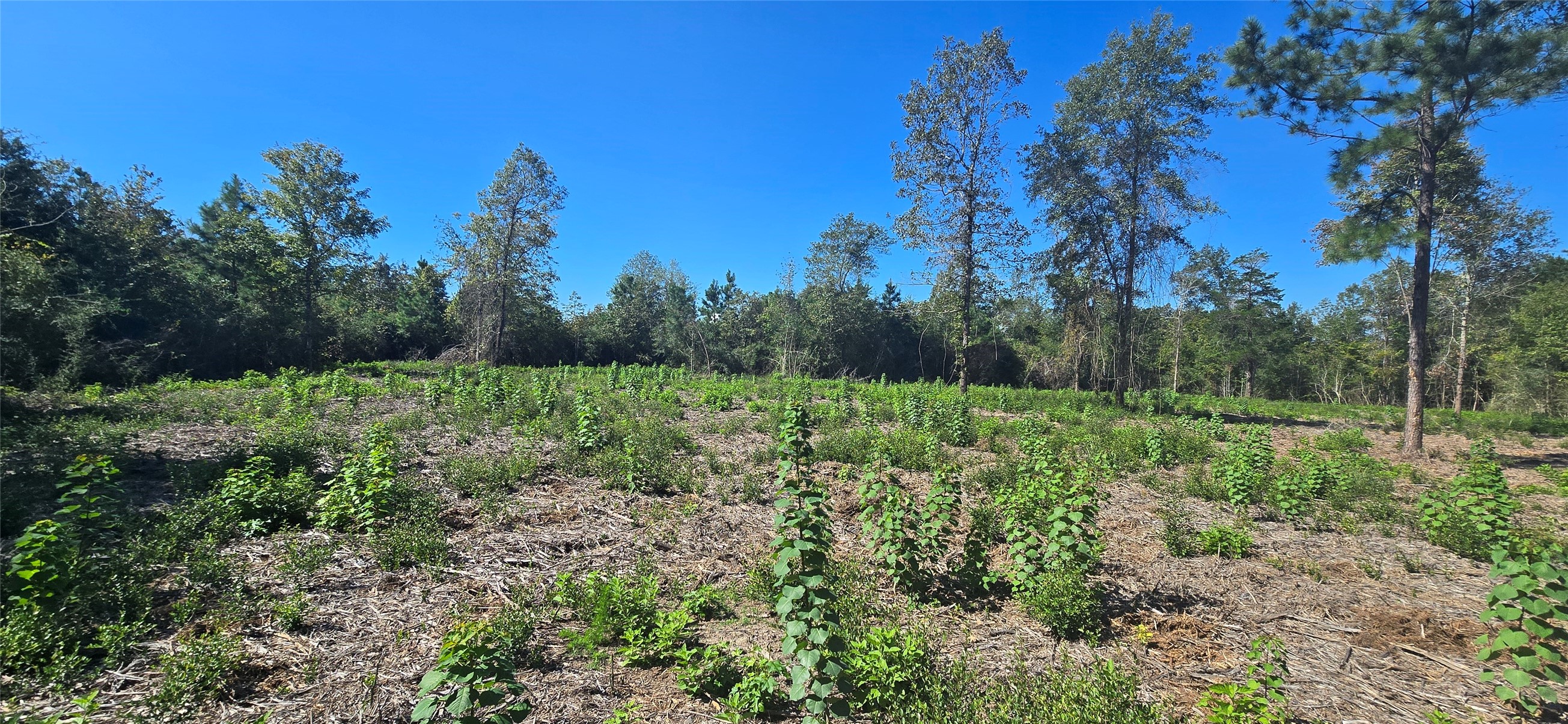 0000 Cr 338 Property Photo 1