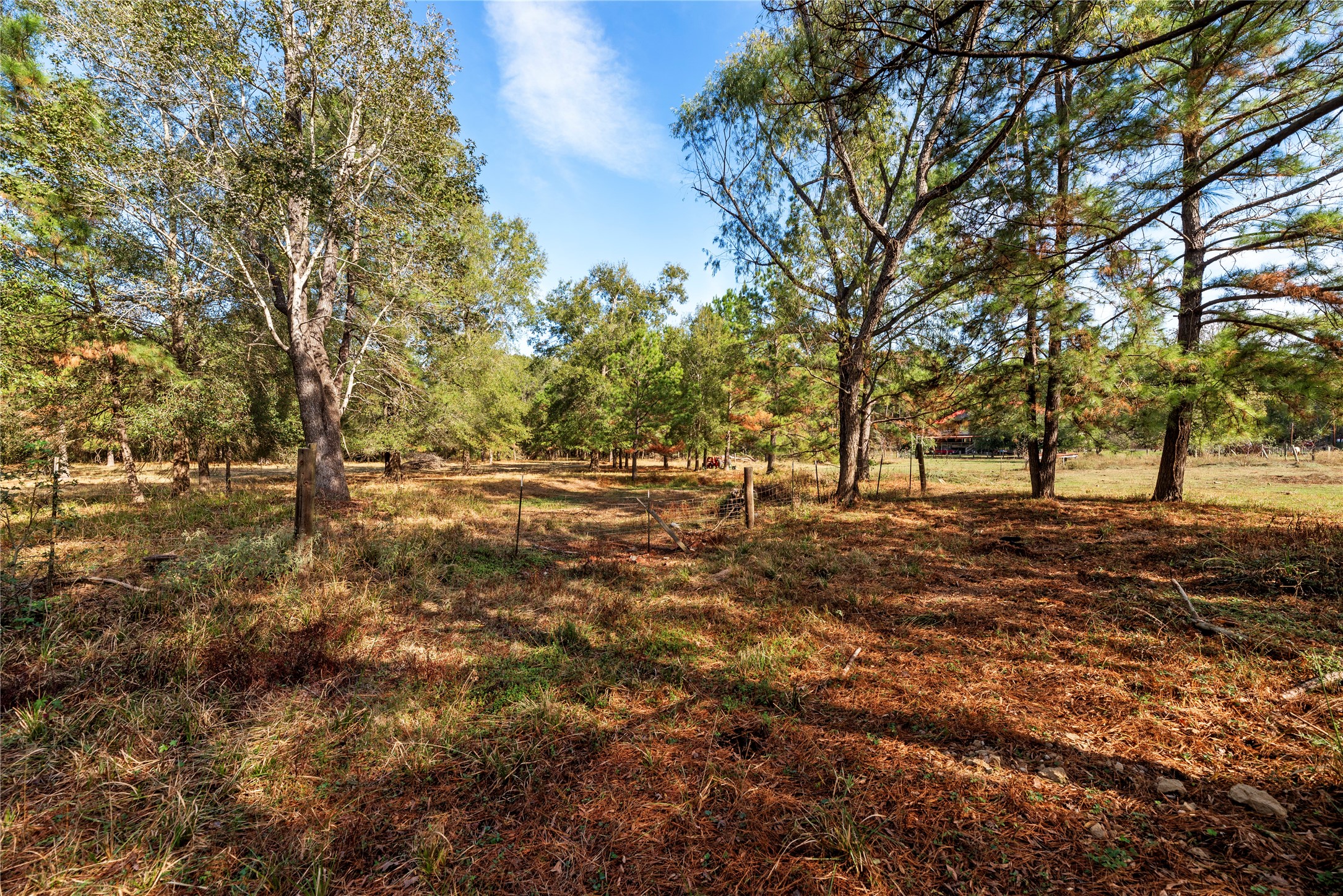 32130 Cypress Hollow Drive Property Photo 15
