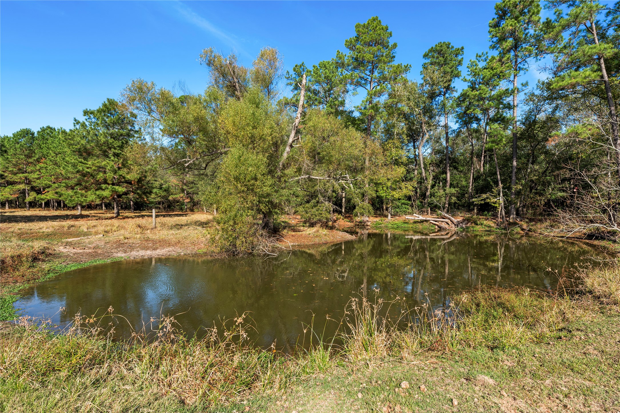 32130 Cypress Hollow Drive Property Photo 20
