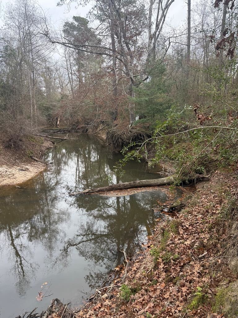 371 County Road 4240 Property Photo 1