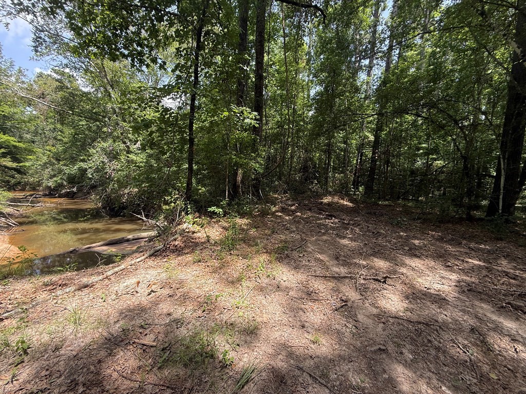 371 County Road 4240 Property Photo 5