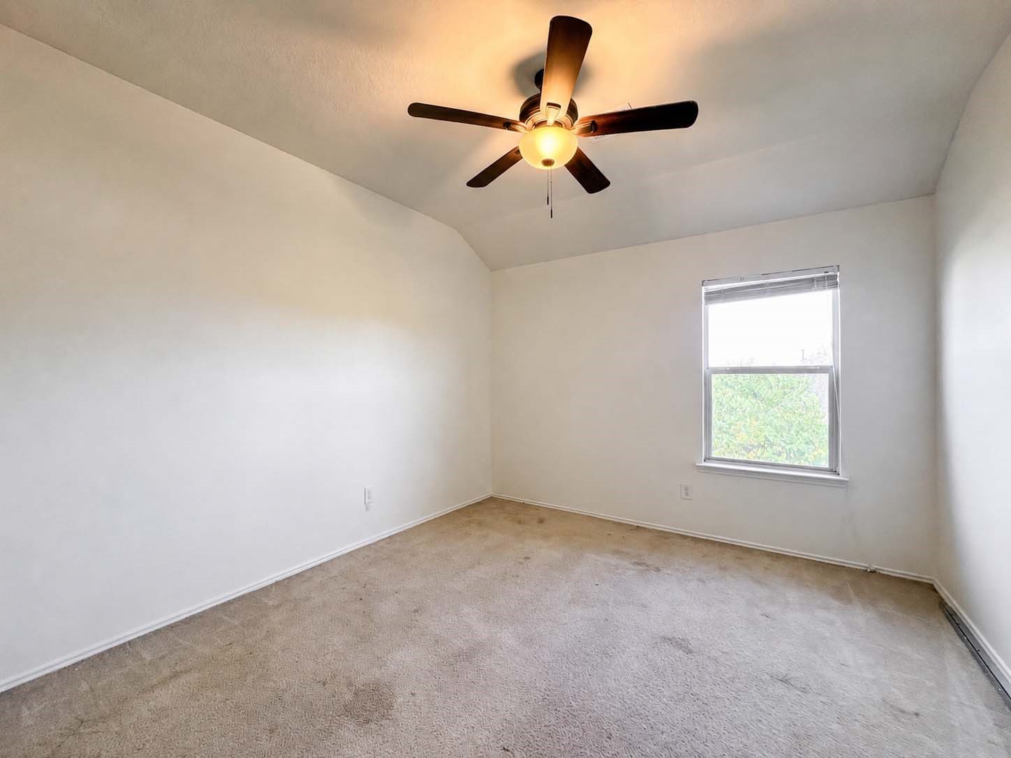 2422 Comal Drive Property Photo 9