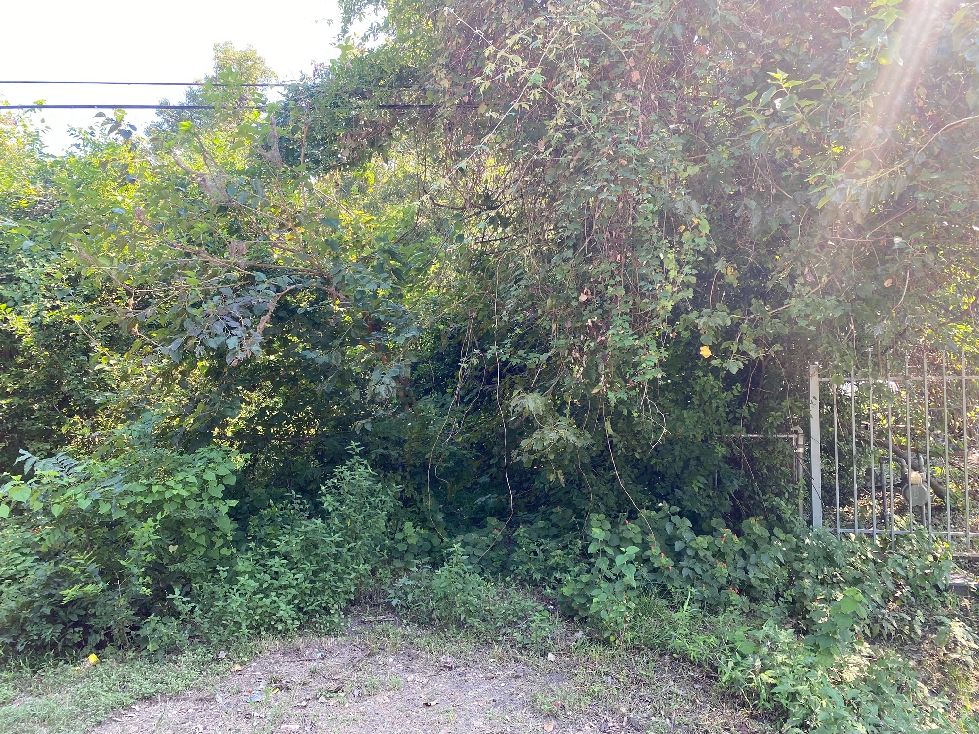 893 Wall Street Property Photo 6