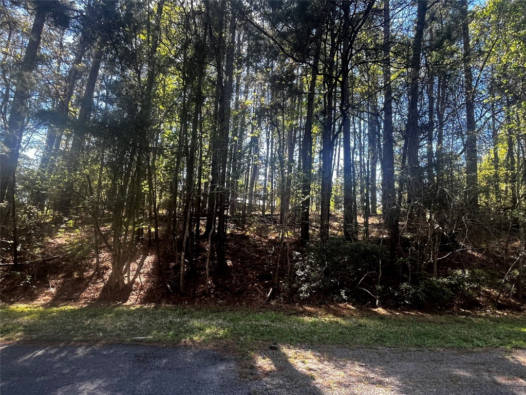 207 Green Tree Drive Property Photo 1
