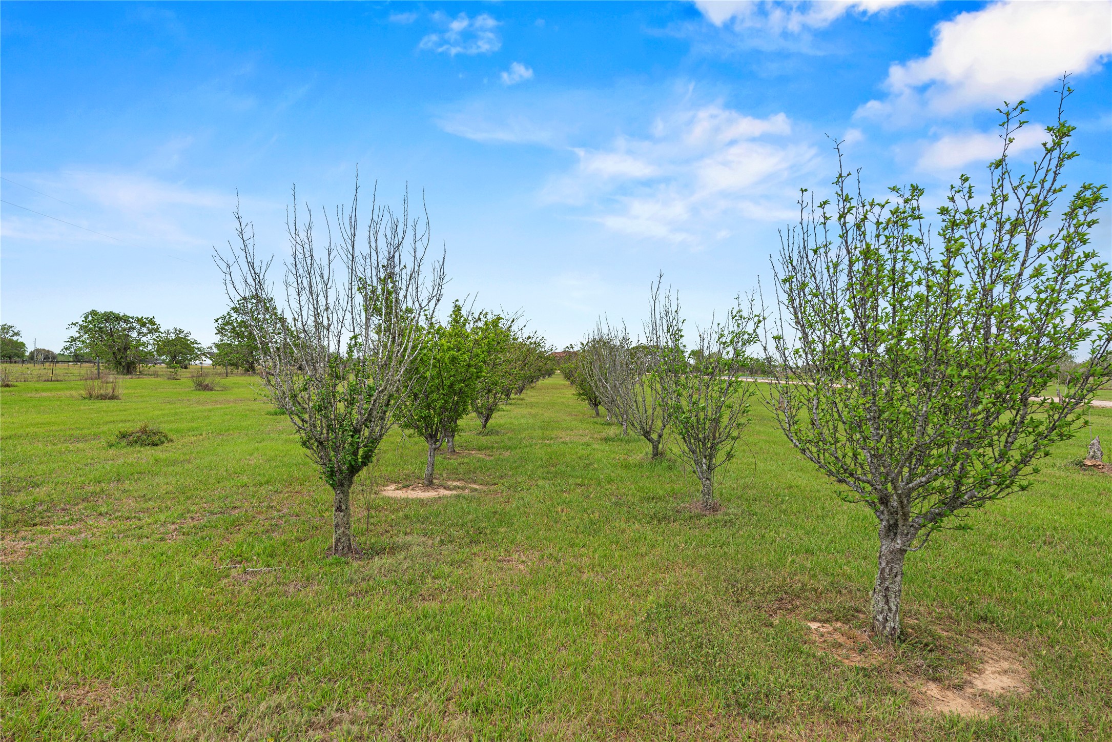 6306 Fm 359 Road S Property Photo 39
