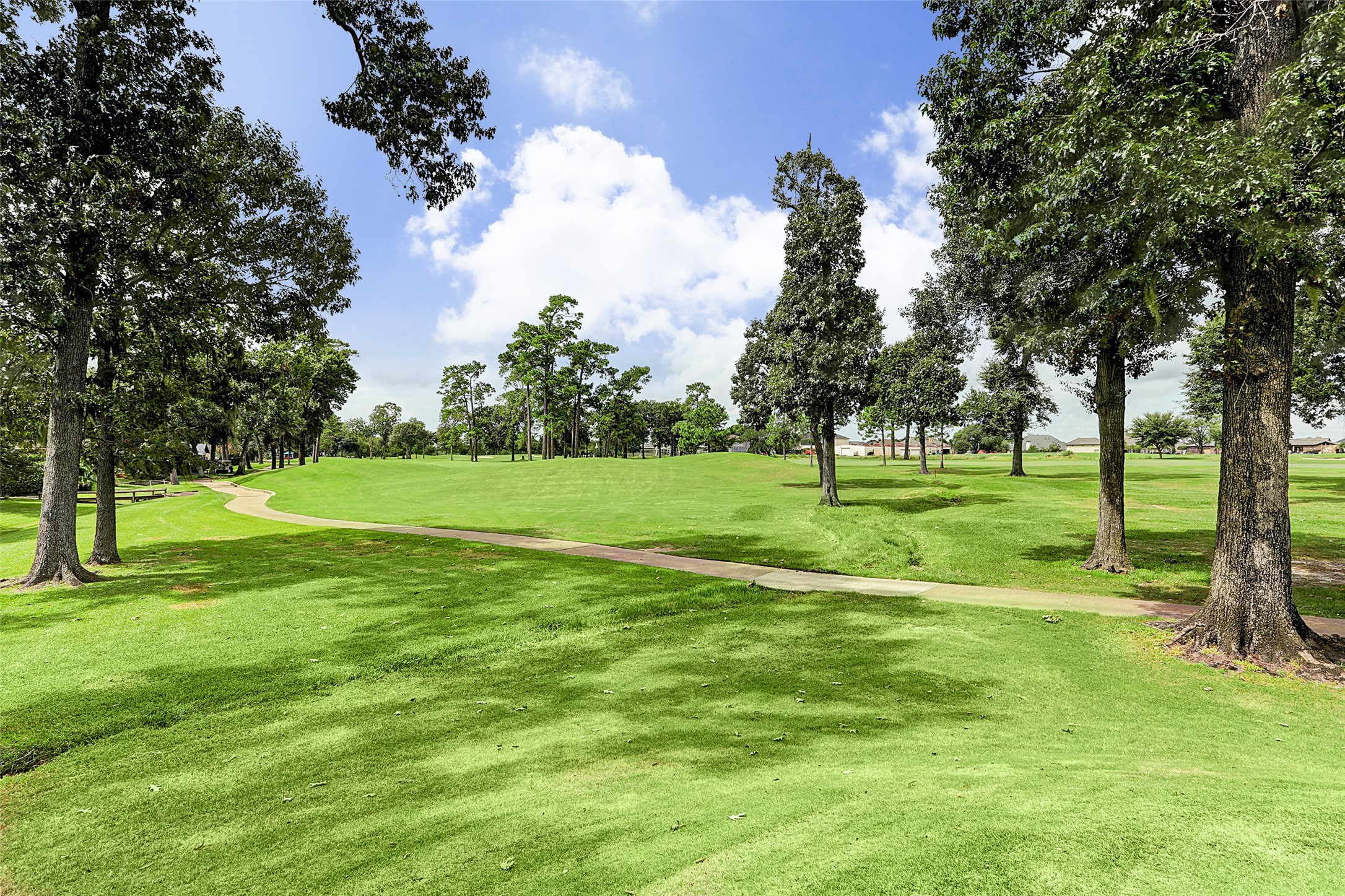 3036 Green Tee Drive Property Photo 5