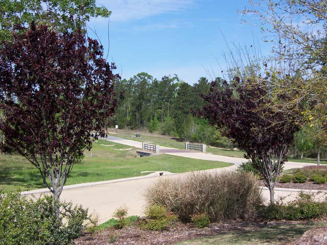 12627 Shady Woods Trail Property Photo 5
